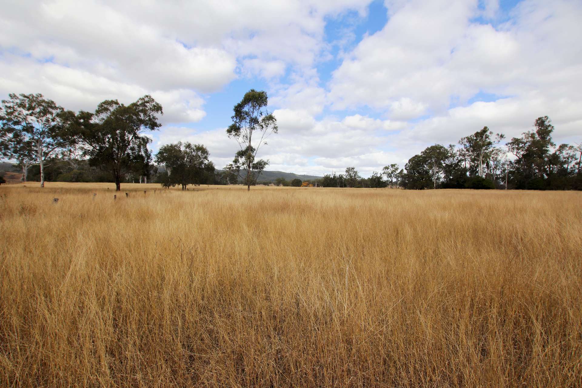 "Spring Creek" Scrubby Mountain Road, Monto For Sale by Farmbuy.com - image 20