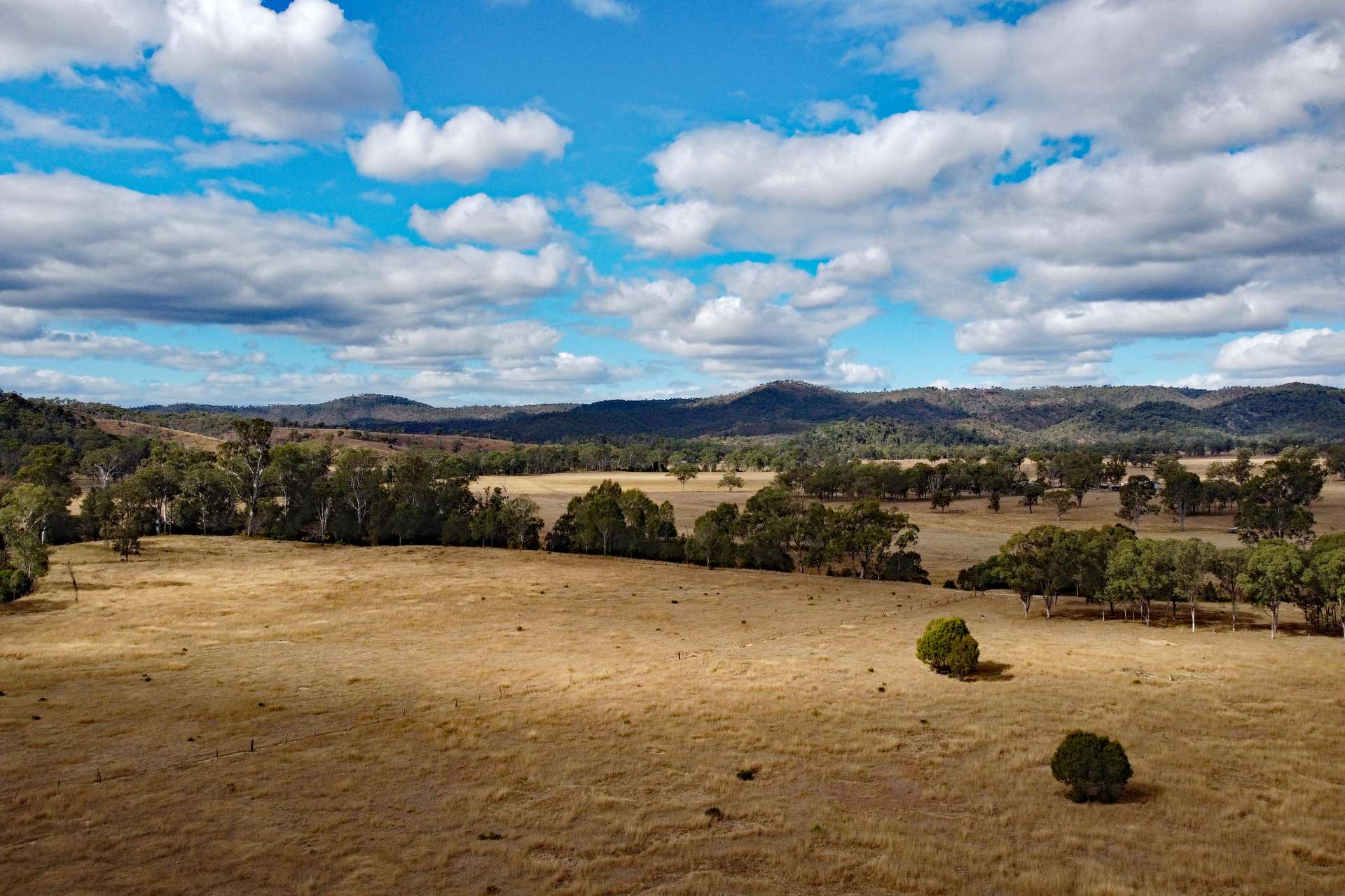 "Spring Creek" Scrubby Mountain Road, Monto For Sale by Farmbuy.com - image 2