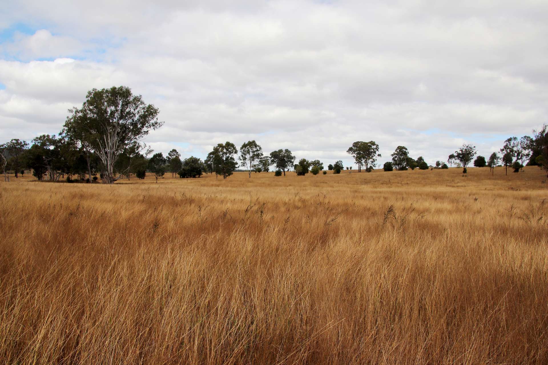 "Spring Creek" Scrubby Mountain Road, Monto For Sale by Farmbuy.com - image 18
