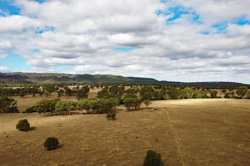 Farm For Sale - QLD - Monto - 4630 - North Burnett Irrigation & Grazing 