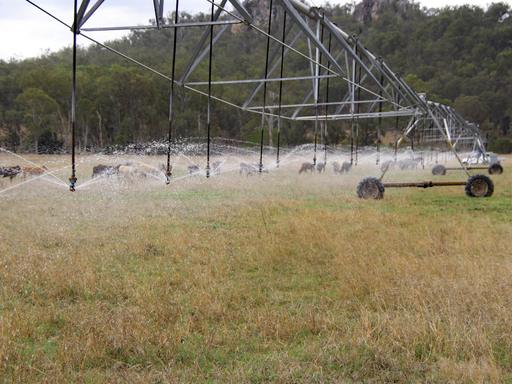 "Spring Creek" Scrubby Mountain Road, Monto QLD 4630