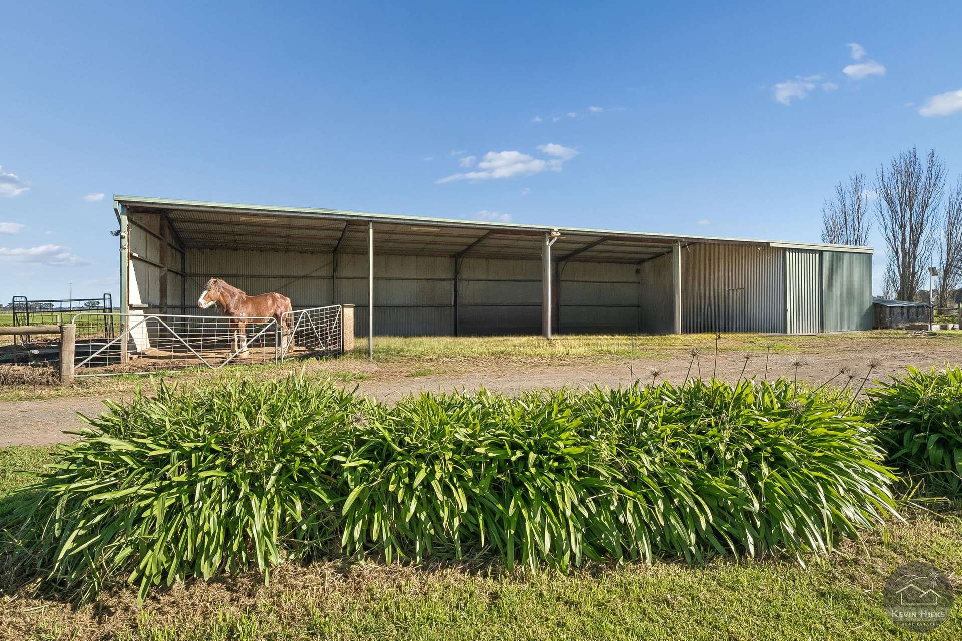 325 Boundary Road, Mundoona For Sale by Farmbuy.com - image 5