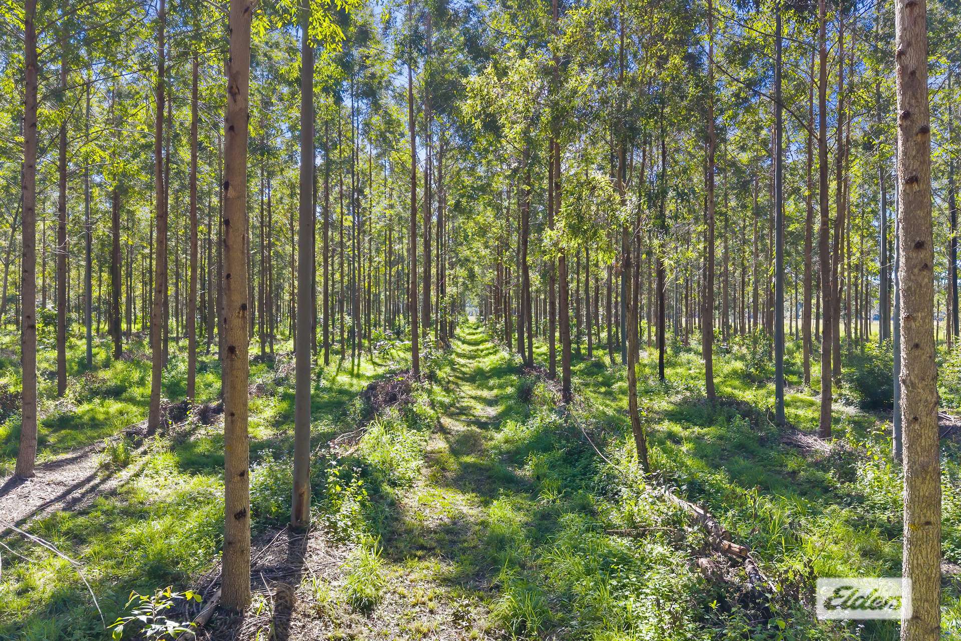 154 Redwood Road, Doonan For Sale by Farmbuy.com - image 9