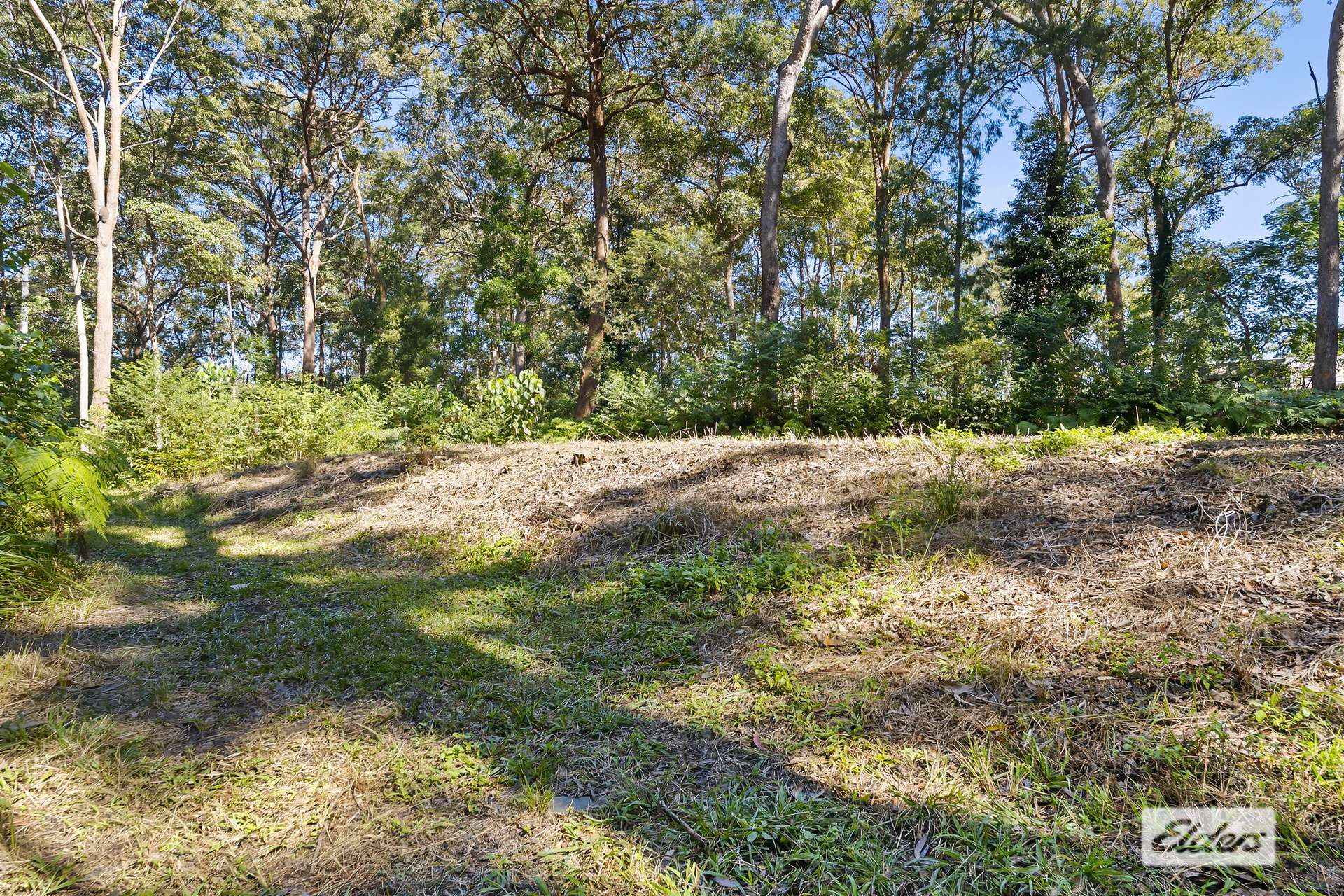 154 Redwood Road, Doonan For Sale by Farmbuy.com - image 19