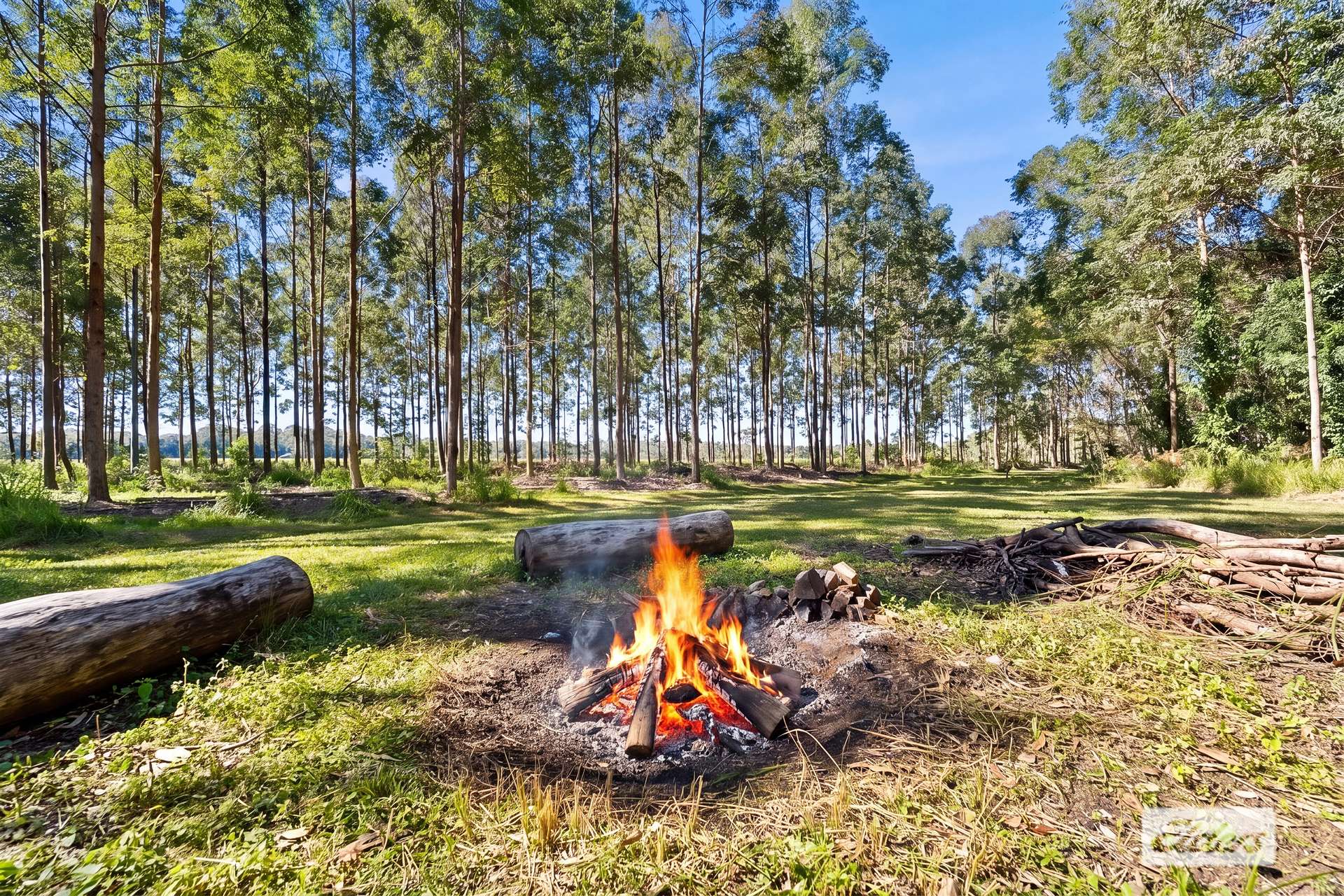 154 Redwood Road, Doonan For Sale by Farmbuy.com - image 5