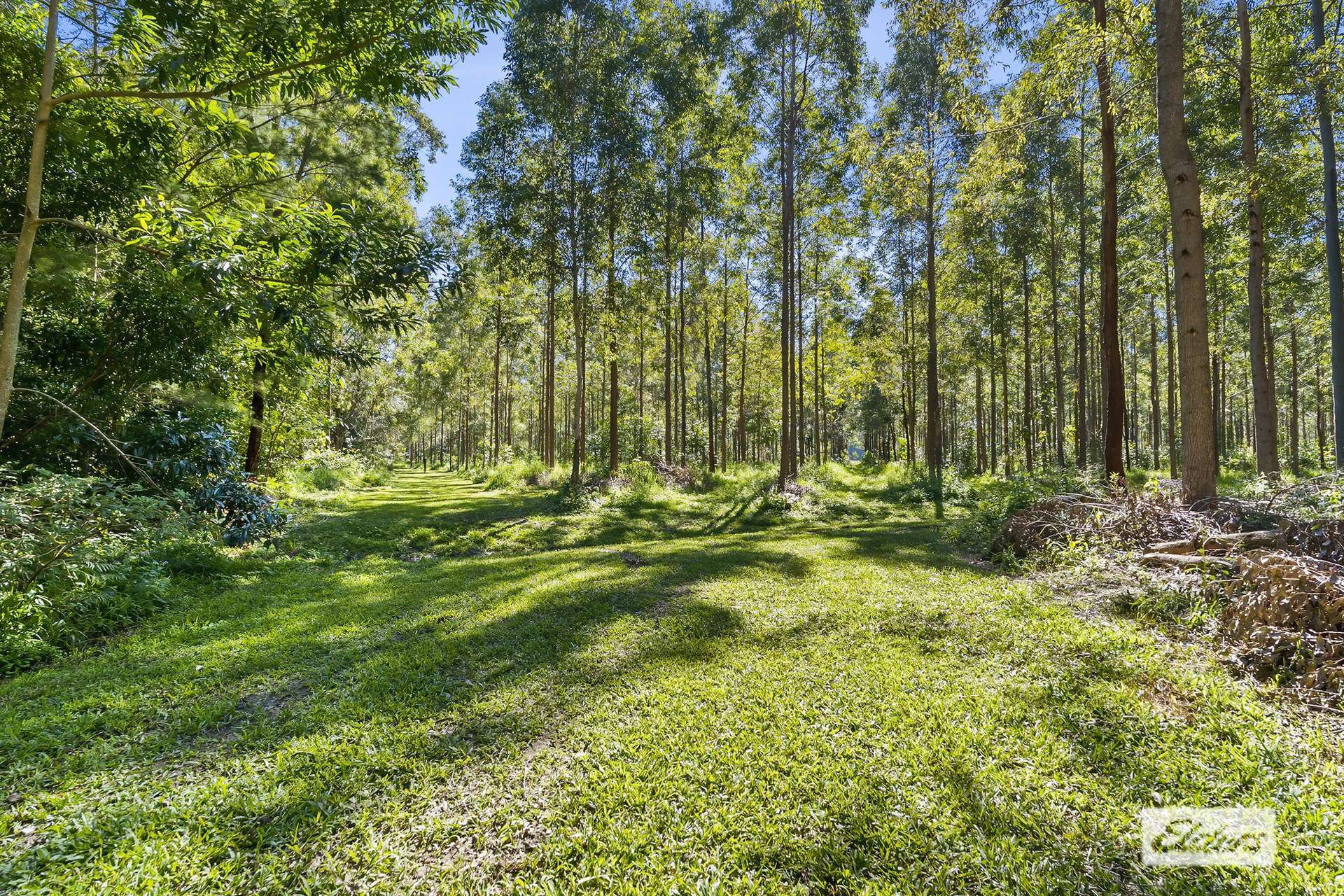154 Redwood Road, Doonan For Sale by Farmbuy.com - image 8