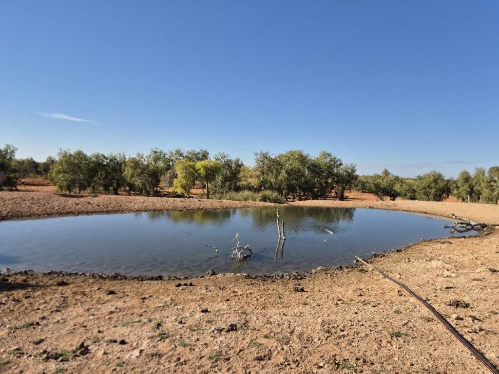 Port Hedland-Marble Bar Road, Port Hedland For Sale by Farmbuy.com - image 11