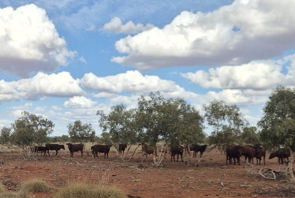 Port Hedland-Marble Bar Road, Port Hedland For Sale by Farmbuy.com - image 10