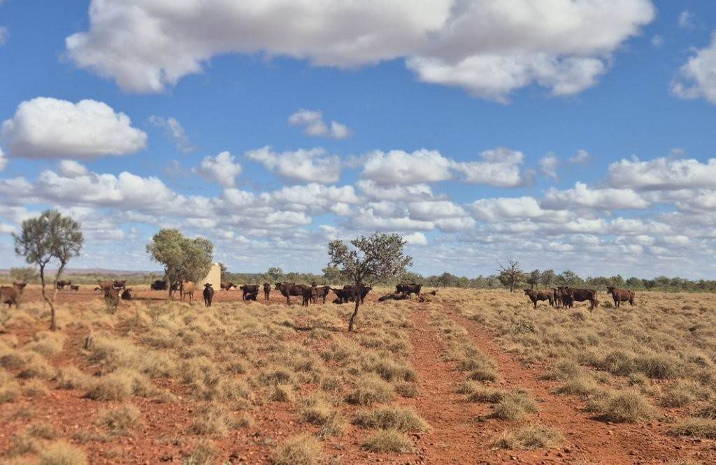 Port Hedland-Marble Bar Road, Port Hedland For Sale by Farmbuy.com - image 9