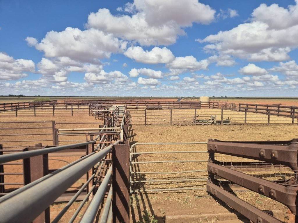 Port Hedland-Marble Bar Road, Port Hedland For Sale by Farmbuy.com - image 3