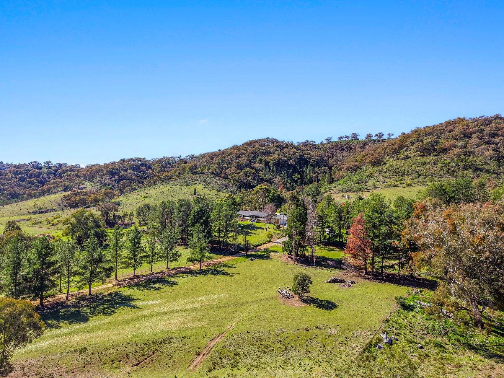 2193 Hill End Road, Mudgee Auction by Farmbuy.com - image 16