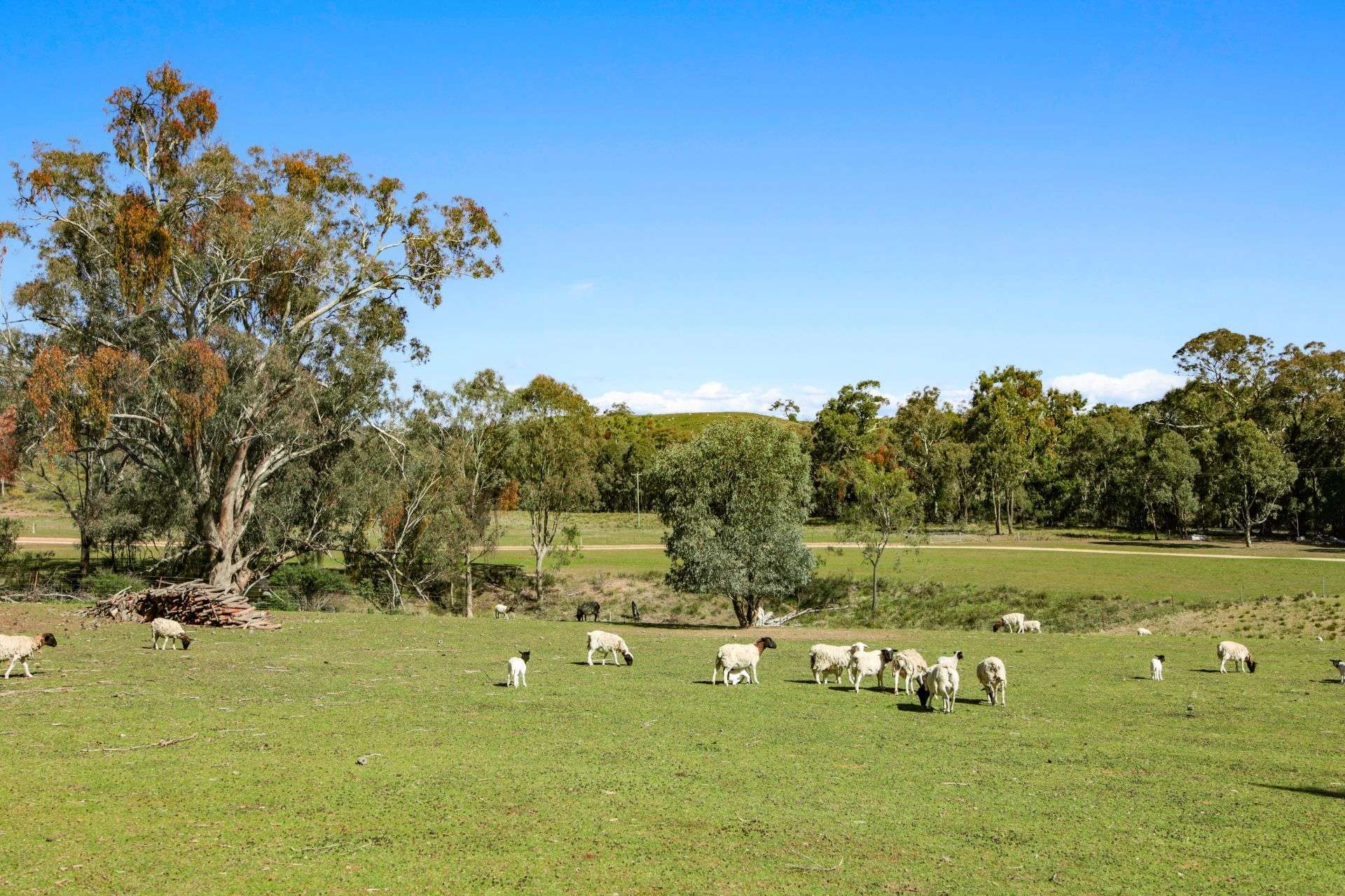 2193 Hill End Road, Mudgee Auction by Farmbuy.com - image 17