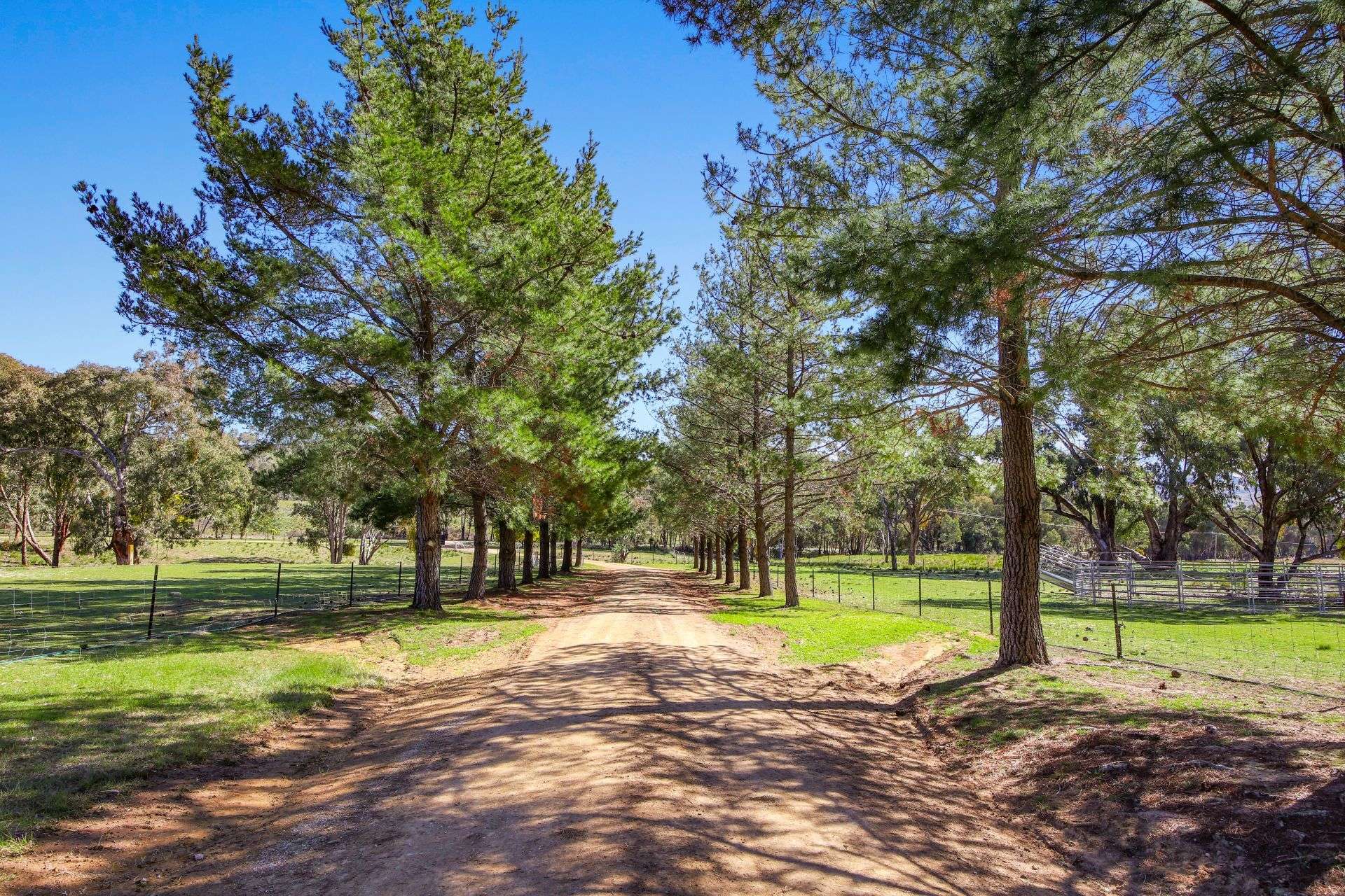2193 Hill End Road, Mudgee Auction by Farmbuy.com - image 14