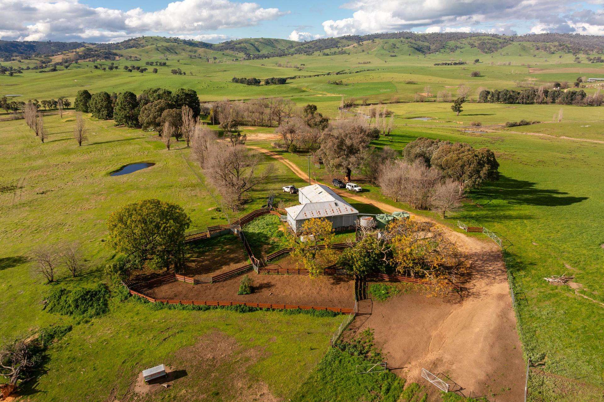 1307 Westbrook Road, Oberne Creek Auction by Farmbuy.com - image 9