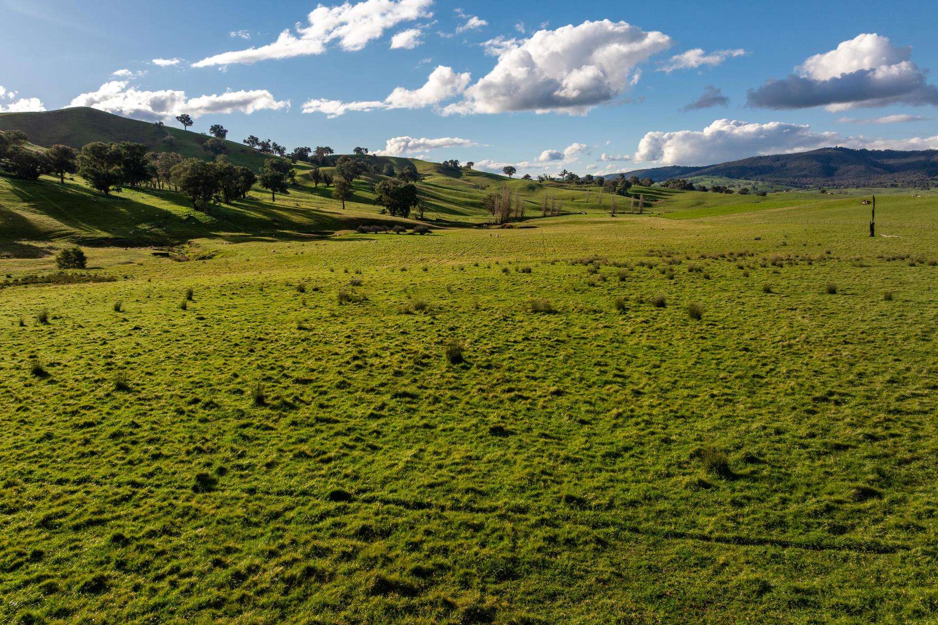 1307 Westbrook Road, Oberne Creek Auction by Farmbuy.com - image 16