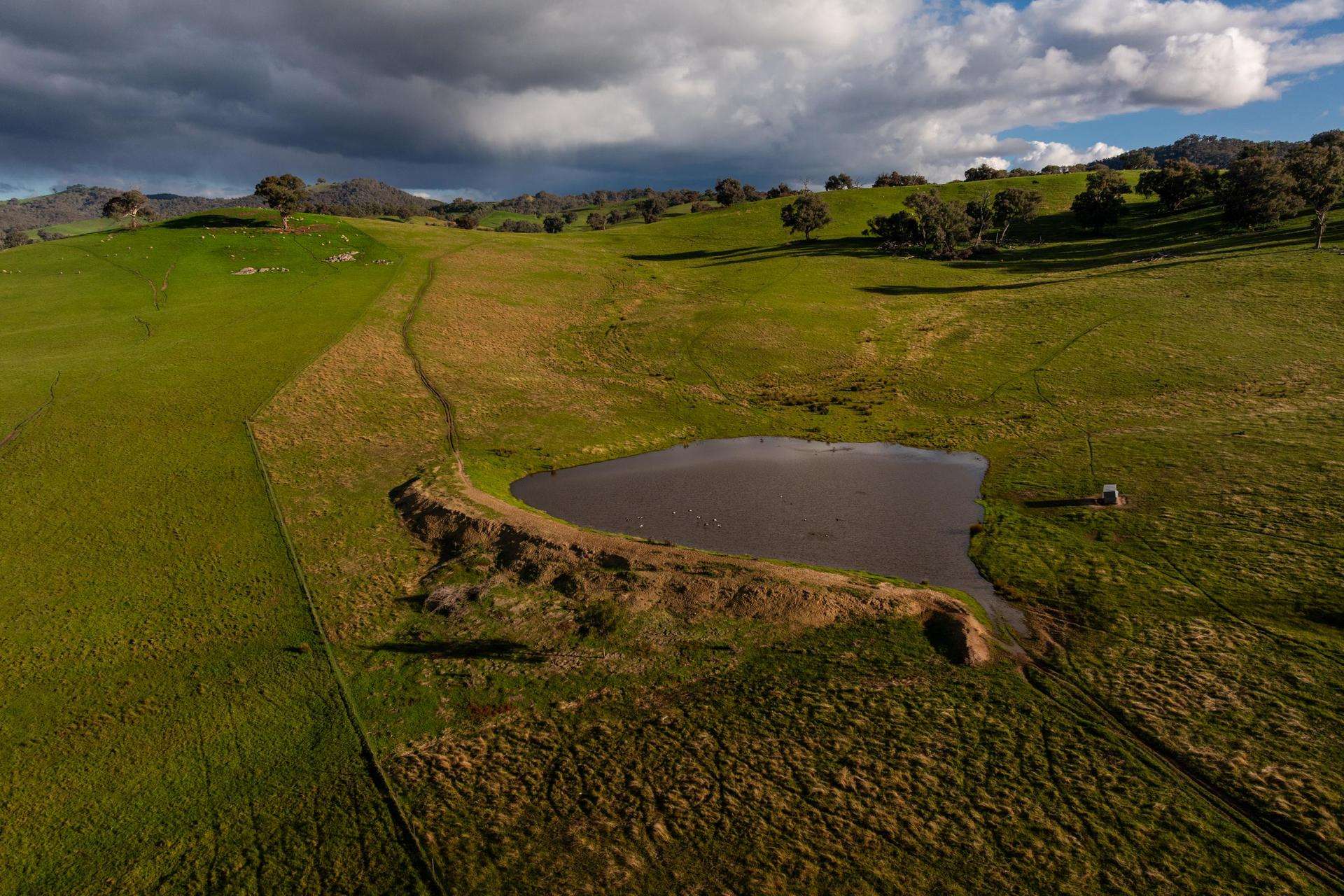 1307 Westbrook Road, Oberne Creek Auction by Farmbuy.com - image 4