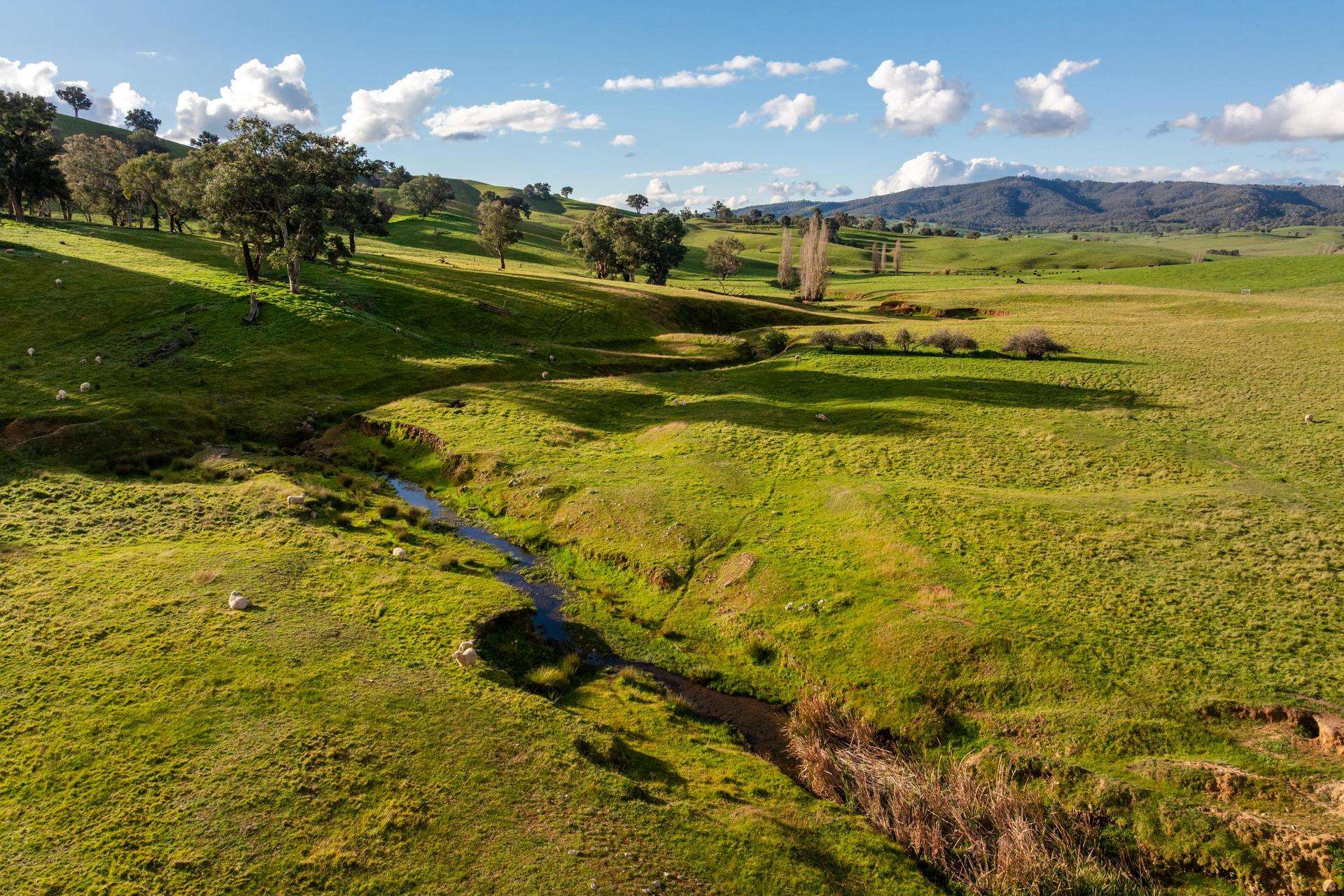 1307 Westbrook Road, Oberne Creek Auction by Farmbuy.com - image 2