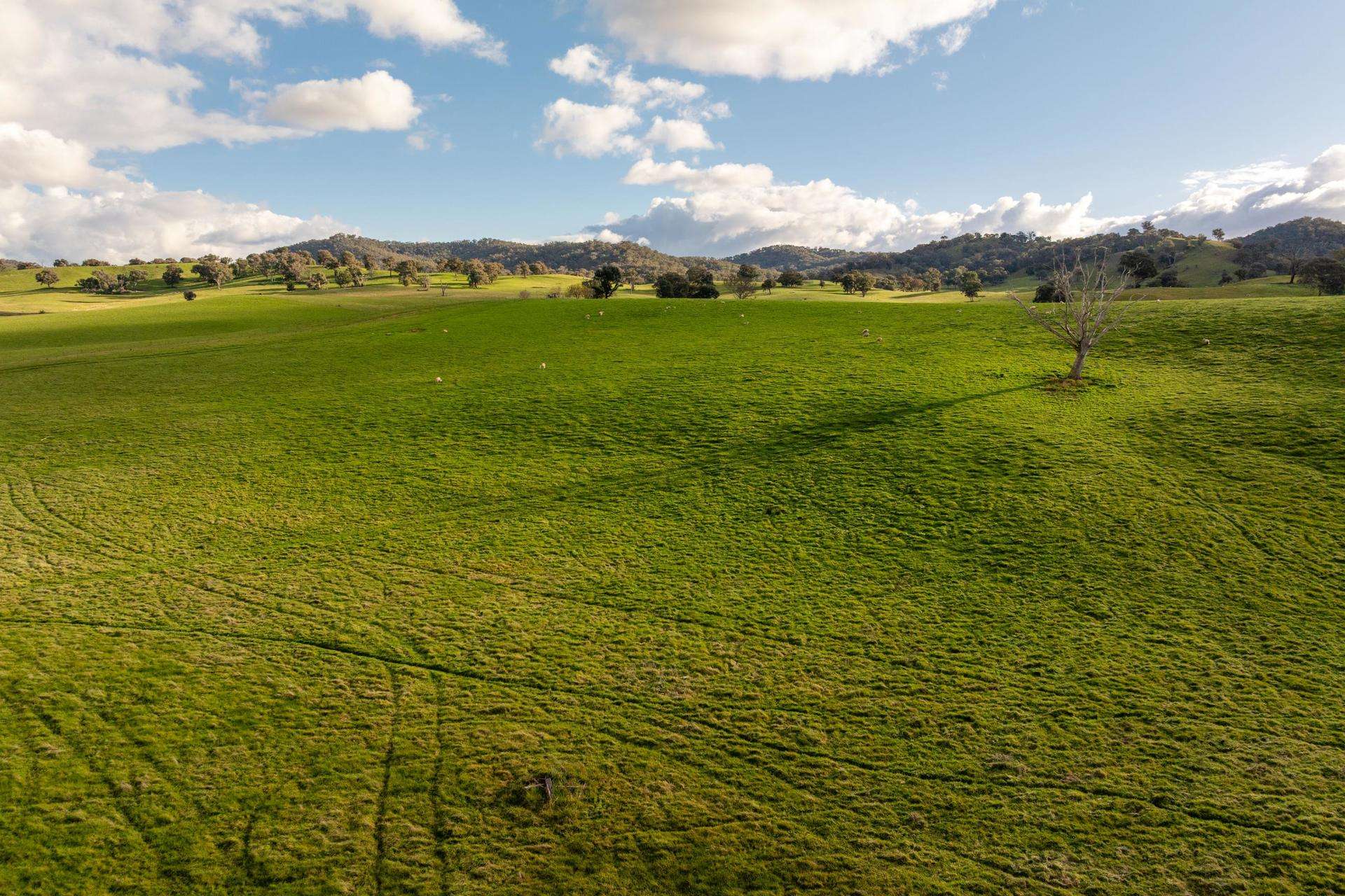1307 Westbrook Road, Oberne Creek Auction by Farmbuy.com - image 11