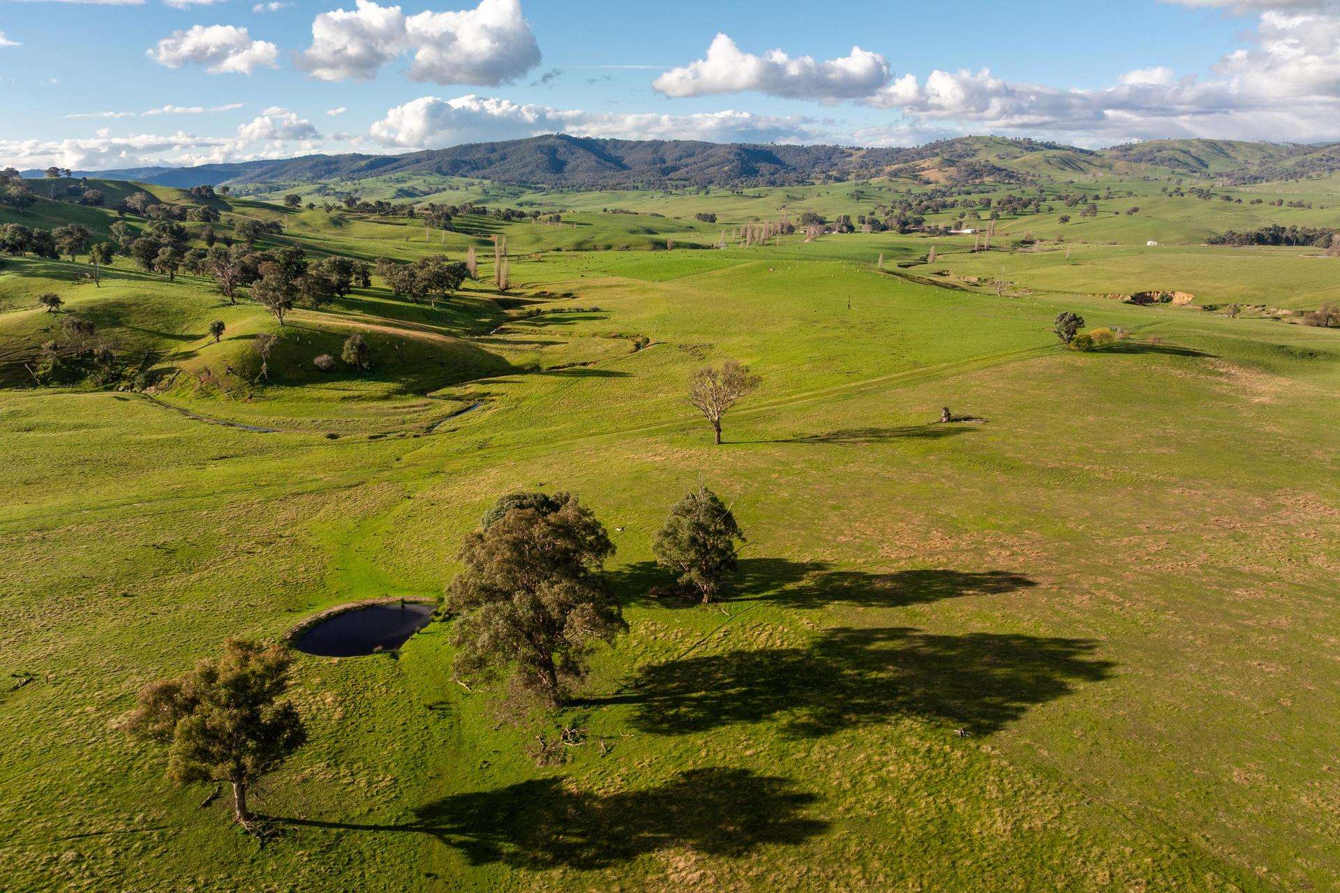 1307 Westbrook Road, Oberne Creek Auction by Farmbuy.com - image 8