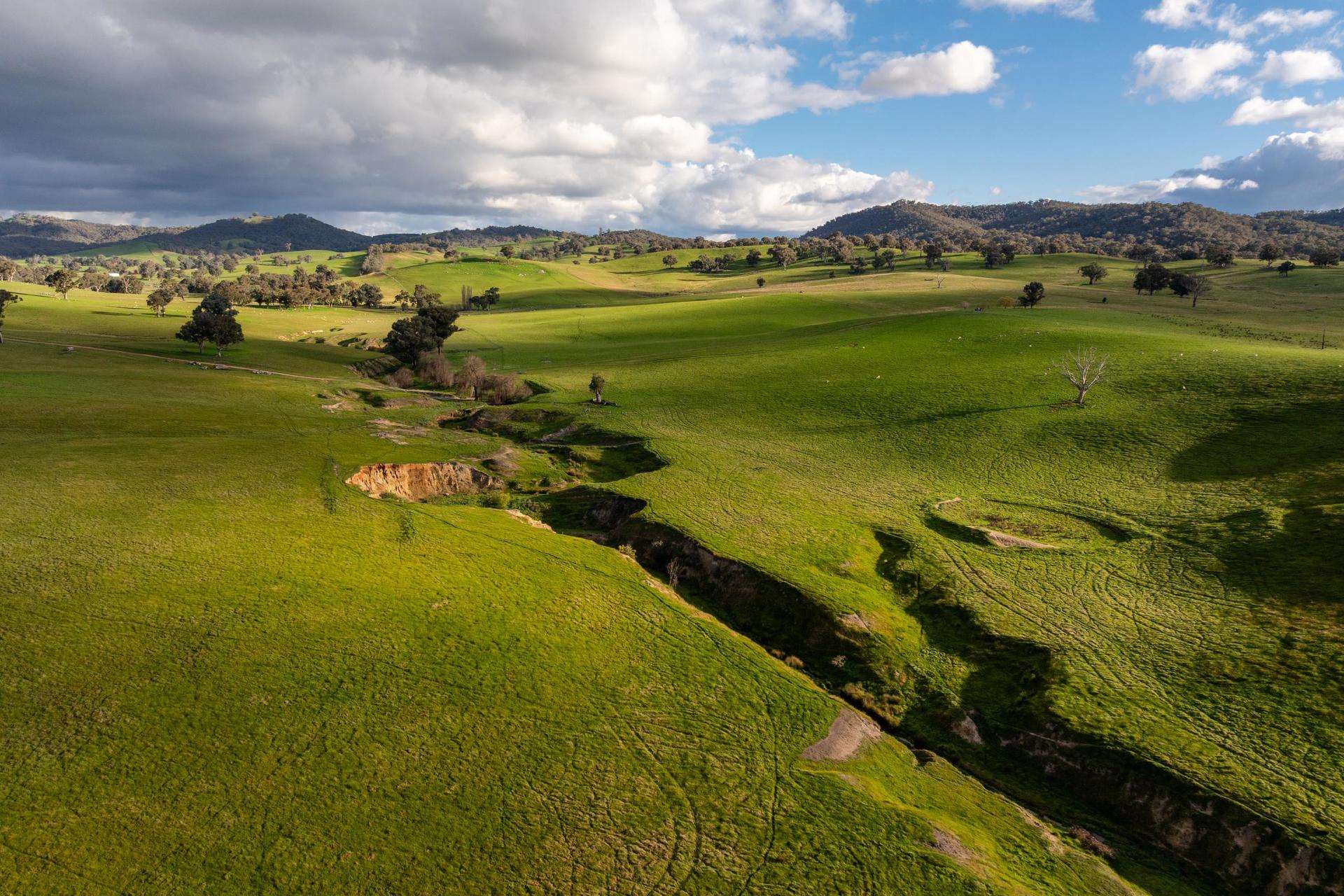 1307 Westbrook Road, Oberne Creek Auction by Farmbuy.com - image 13