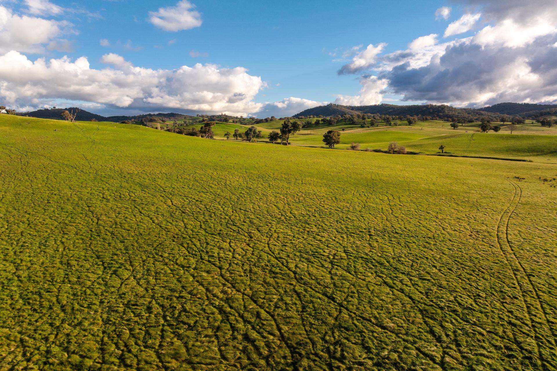 1307 Westbrook Road, Oberne Creek Auction by Farmbuy.com - image 15
