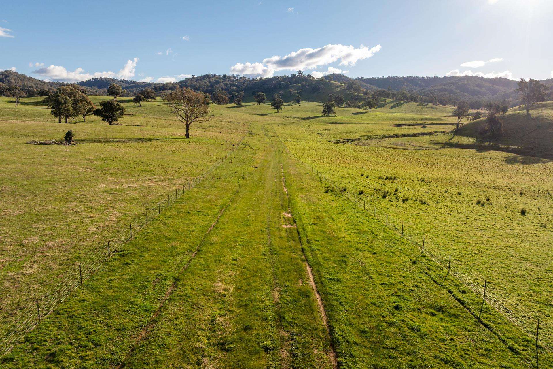 1307 Westbrook Road, Oberne Creek Auction by Farmbuy.com - image 18