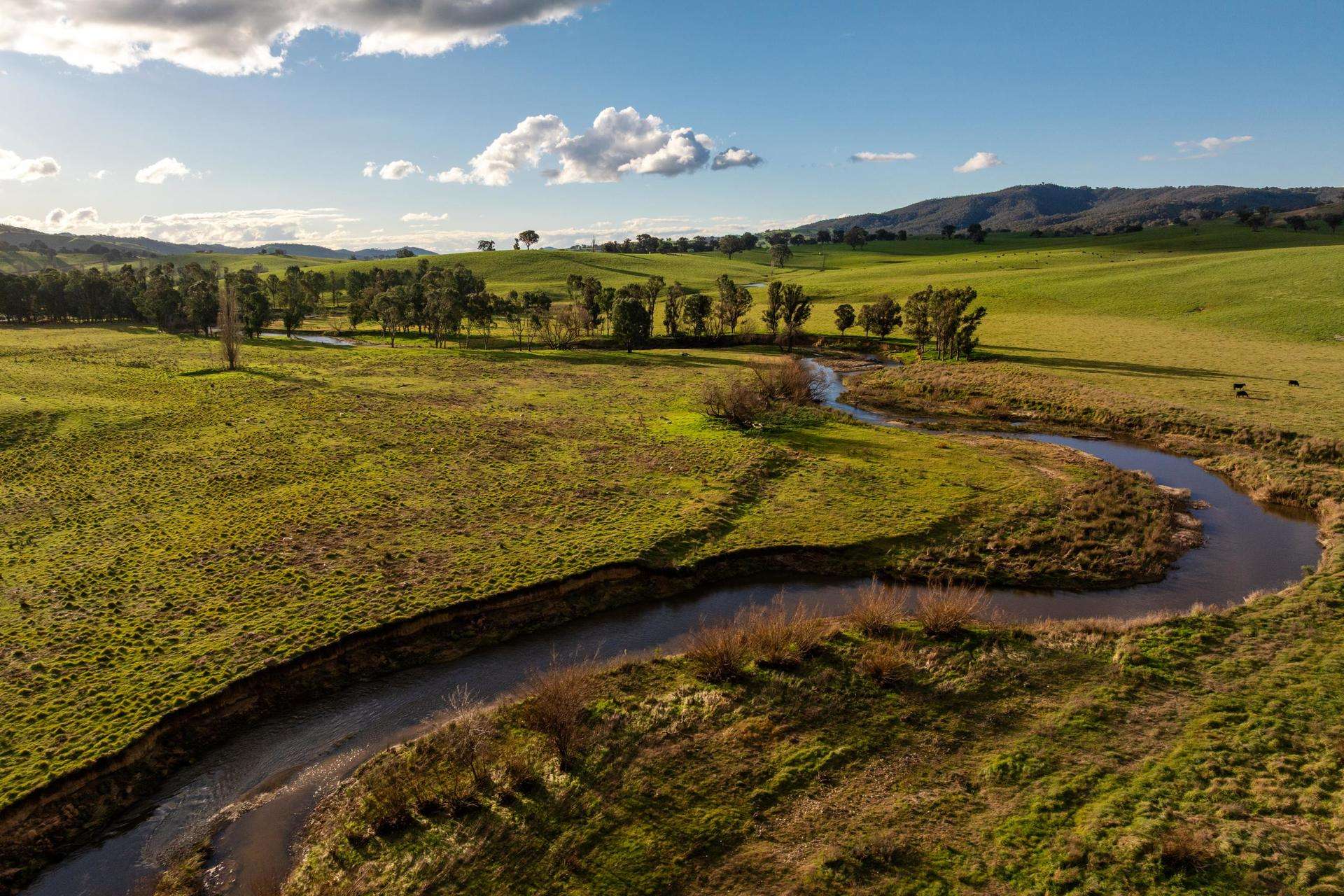 1307 Westbrook Road, Oberne Creek Auction by Farmbuy.com - image 14