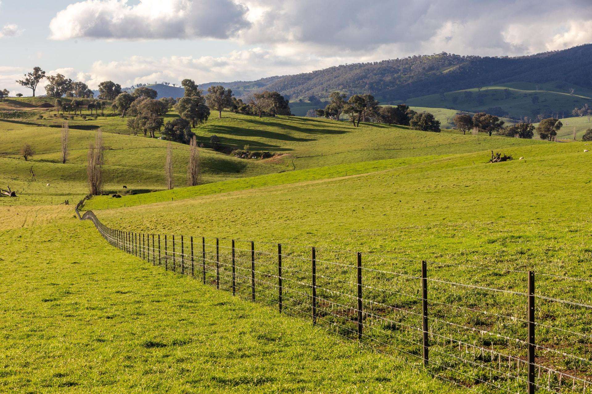 1307 Westbrook Road, Oberne Creek Auction by Farmbuy.com - image 17