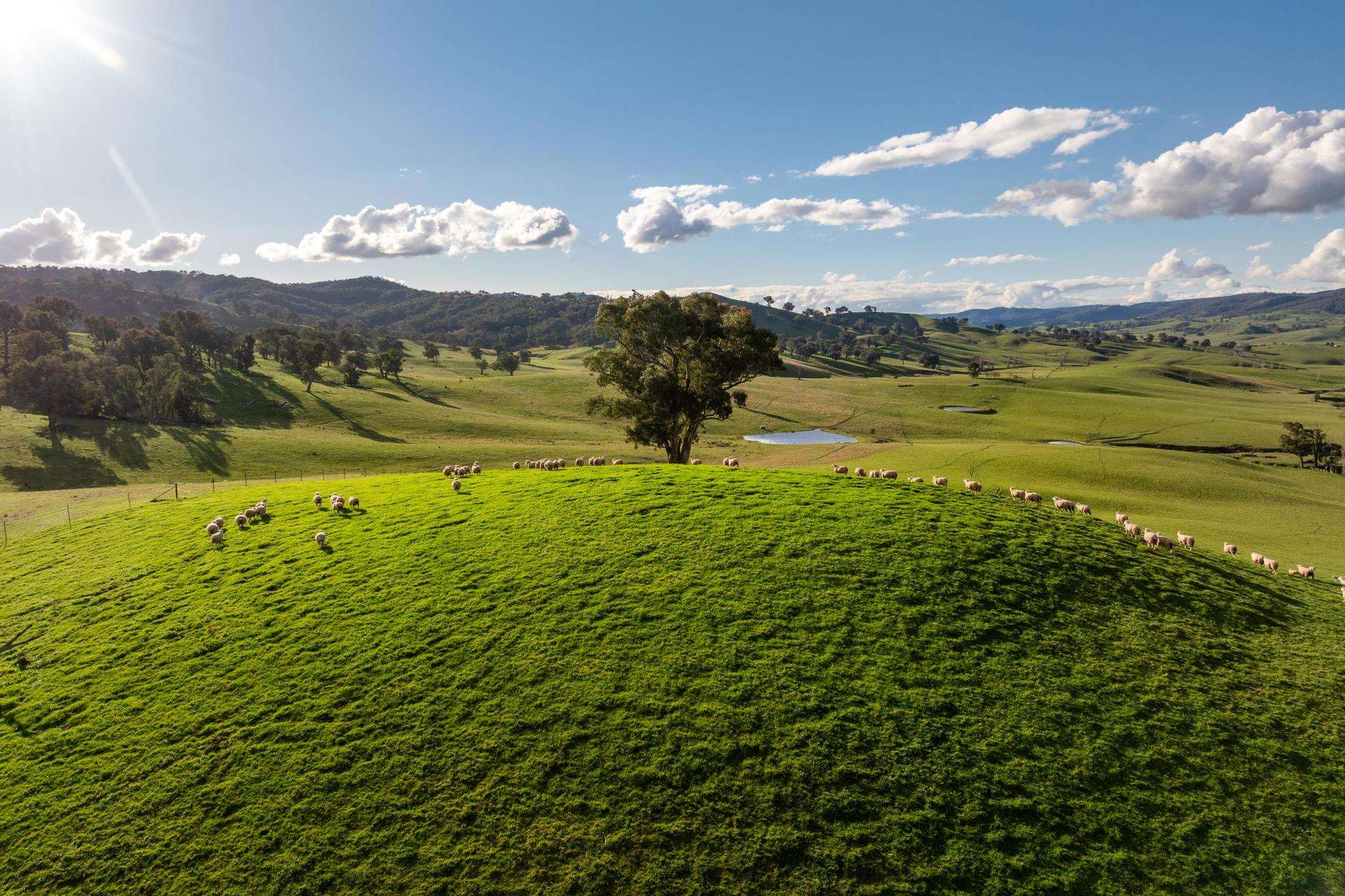 1307 Westbrook Road, Oberne Creek Auction by Farmbuy.com - image 7