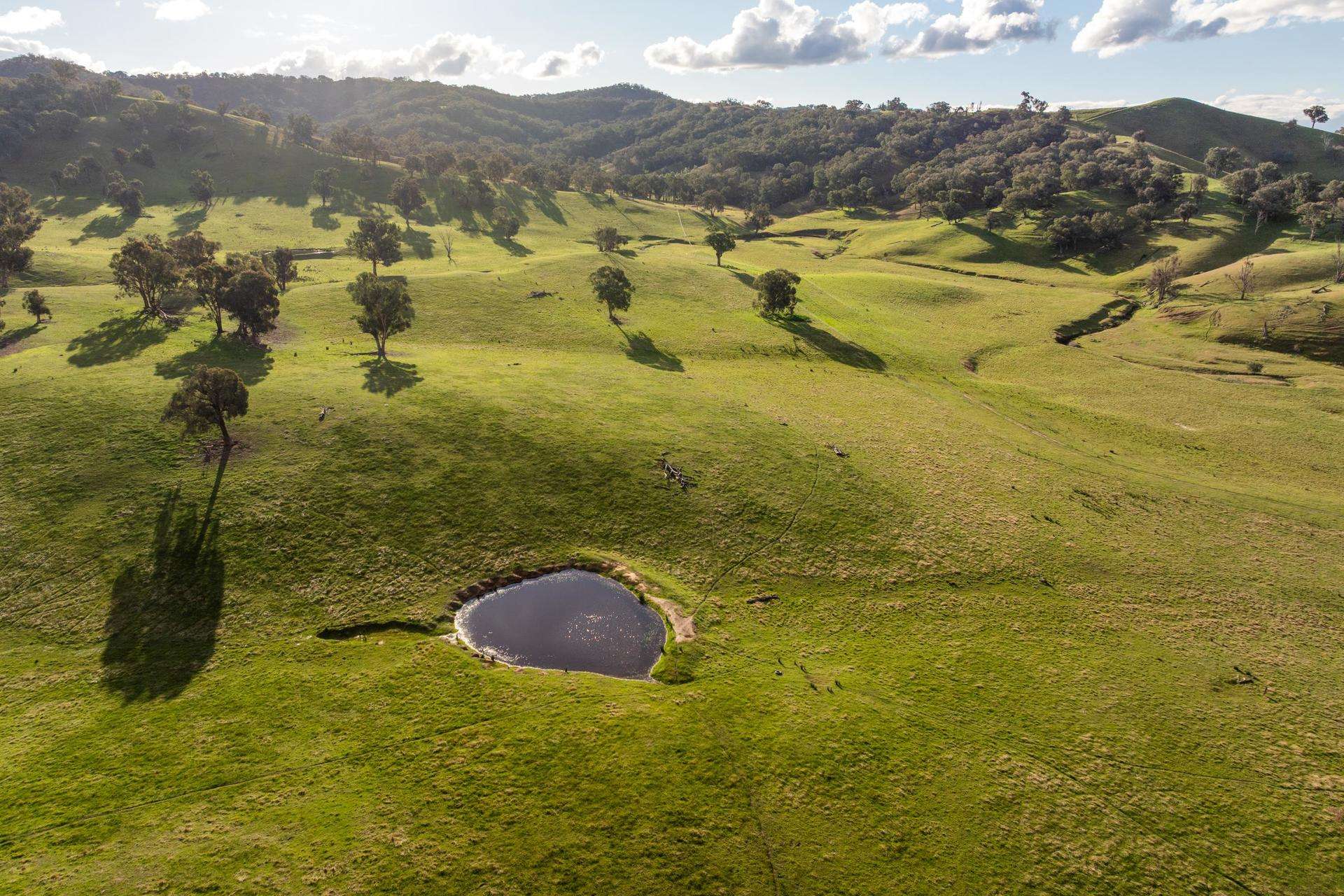 1307 Westbrook Road, Oberne Creek Auction by Farmbuy.com - image 6