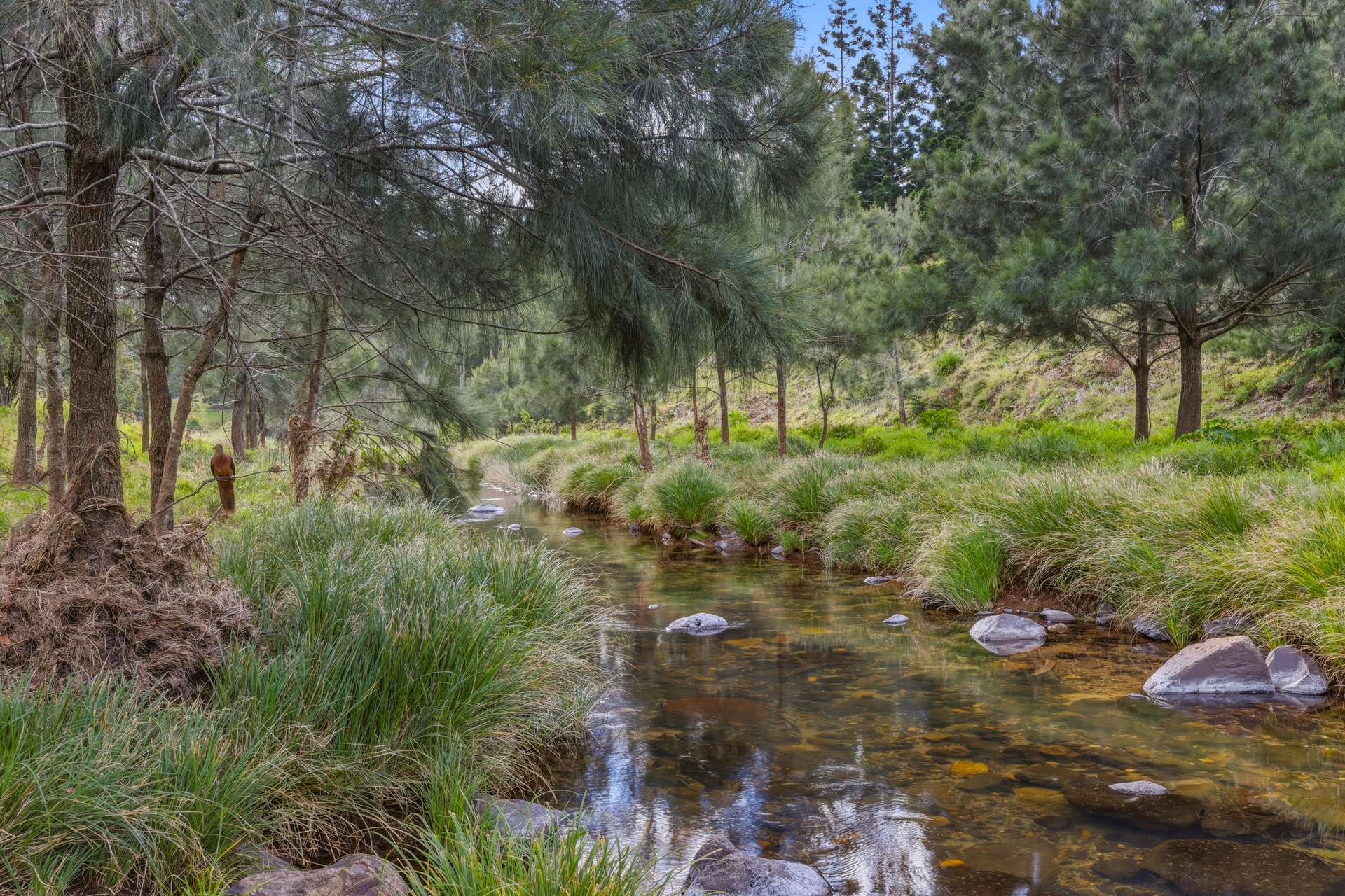 601 Illinbah Road, Illinbah For Sale by Farmbuy.com - image 17