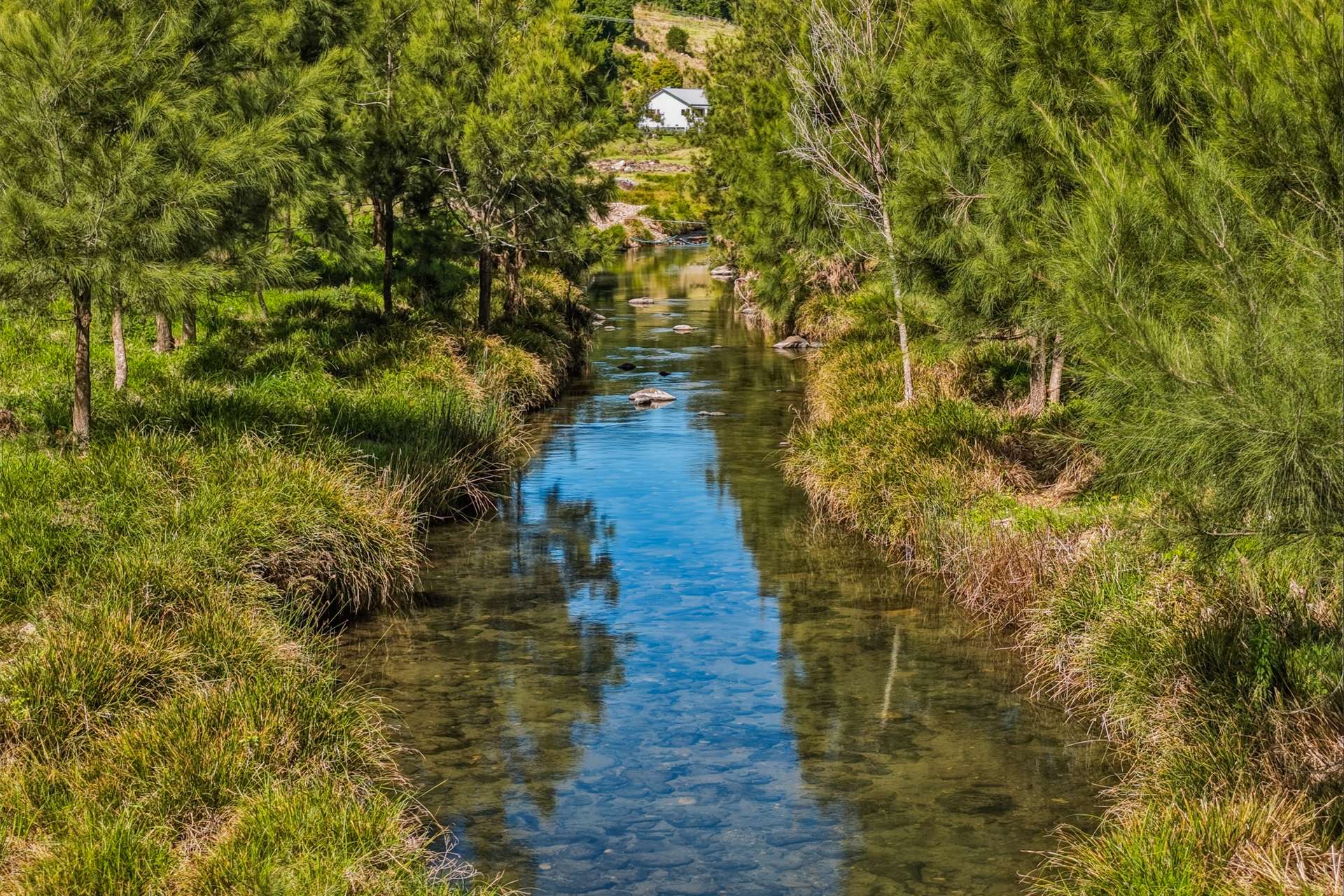 601 Illinbah Road, Illinbah For Sale by Farmbuy.com - image 3