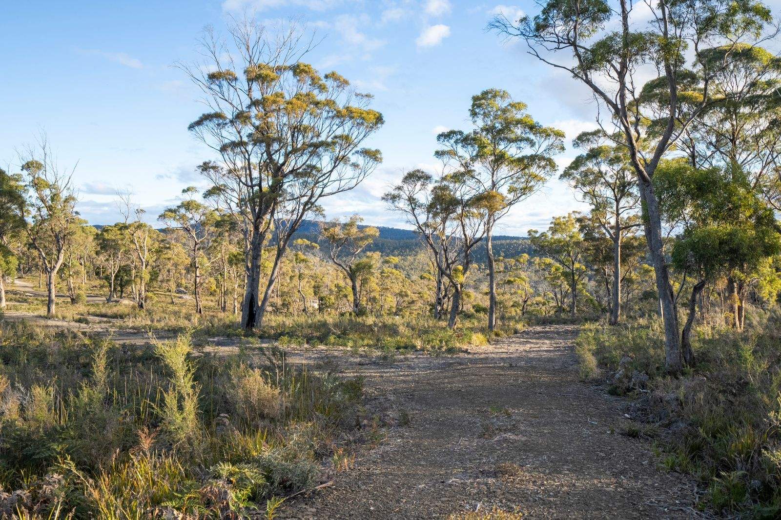 210 Heathy Hill Drive, Saltwater River For Sale by Farmbuy.com - image 29