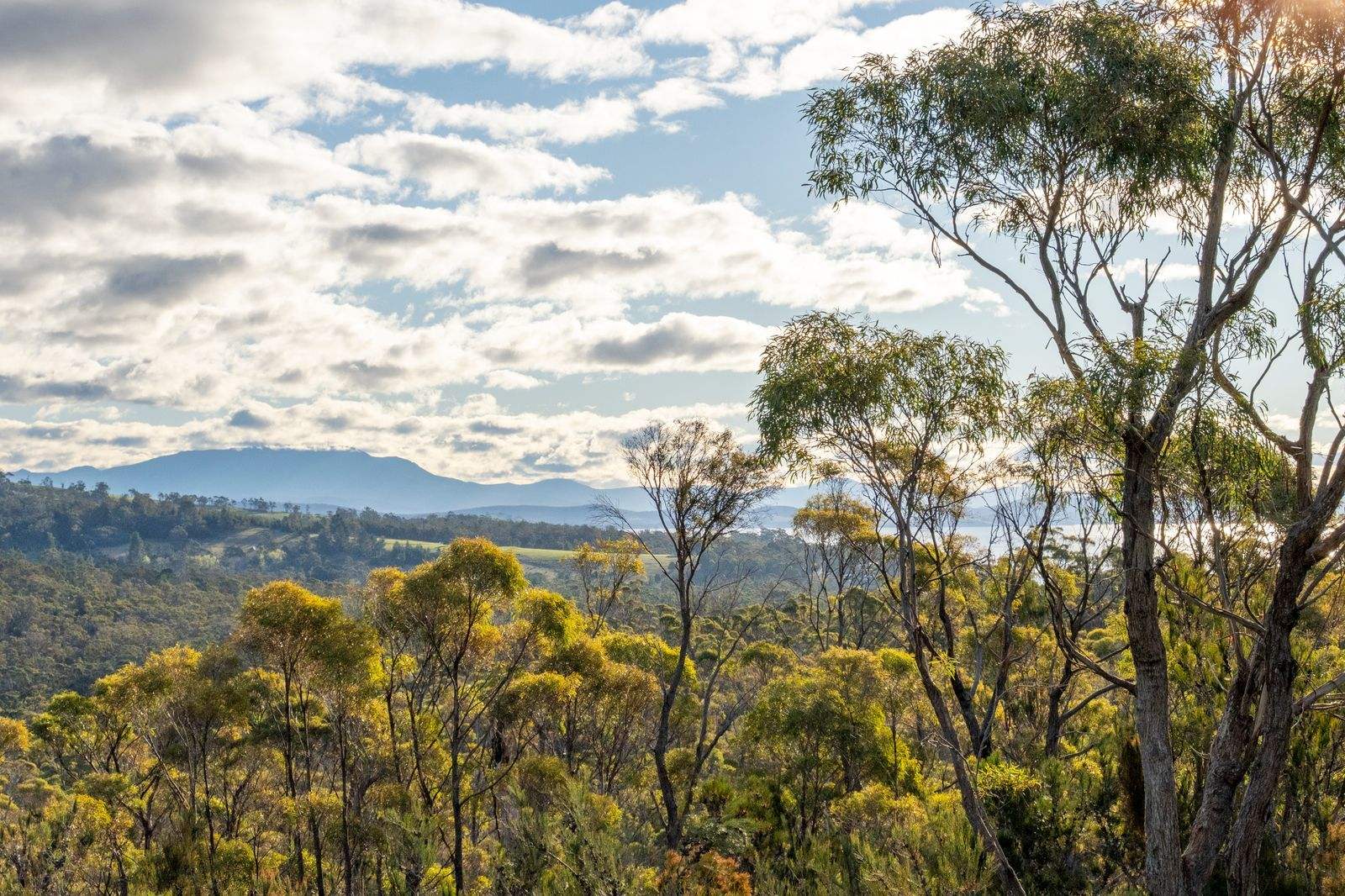 210 Heathy Hill Drive, Saltwater River For Sale by Farmbuy.com - image 15