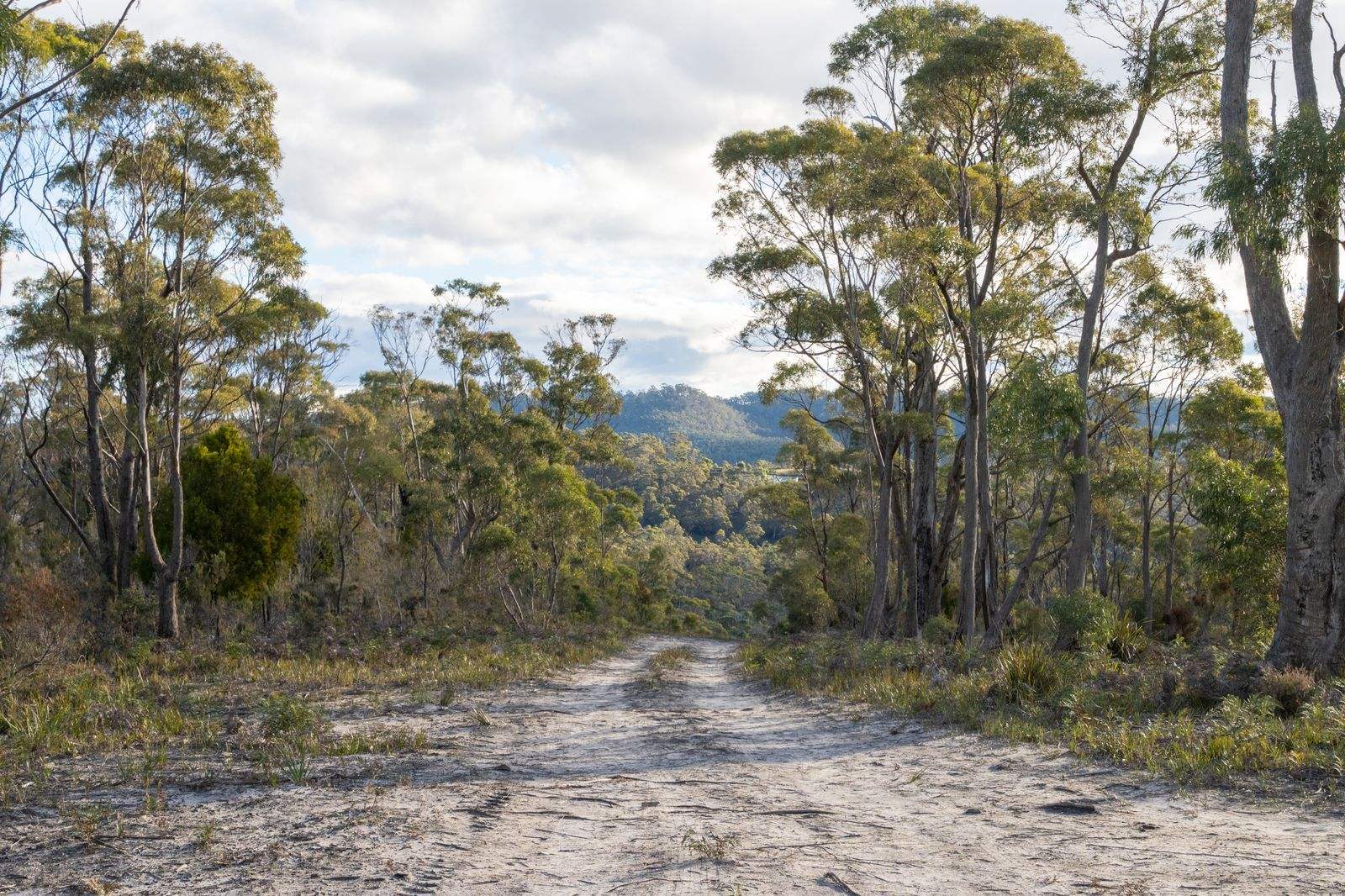 210 Heathy Hill Drive, Saltwater River For Sale by Farmbuy.com - image 21