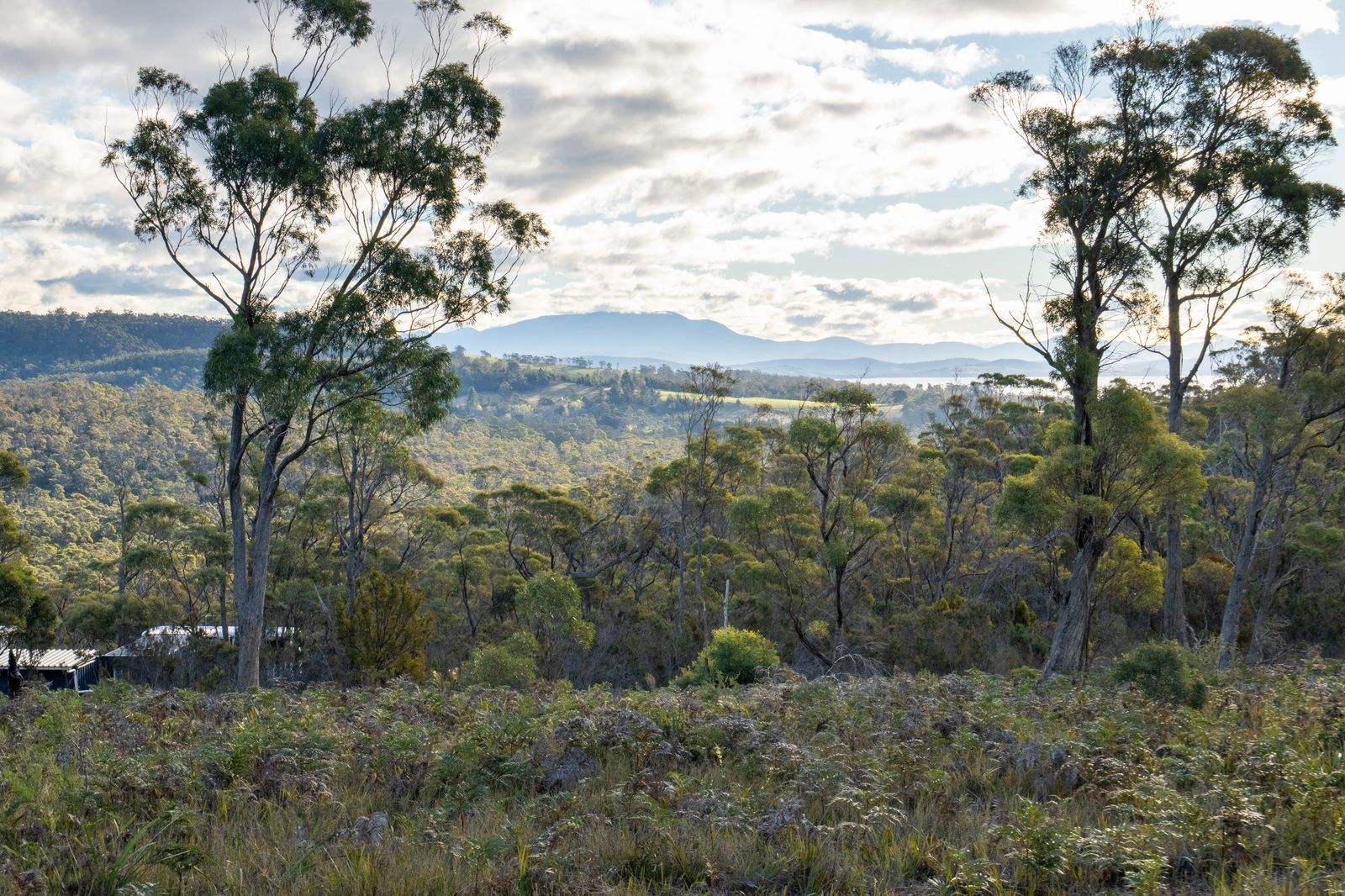 210 Heathy Hill Drive, Saltwater River For Sale by Farmbuy.com - image 18