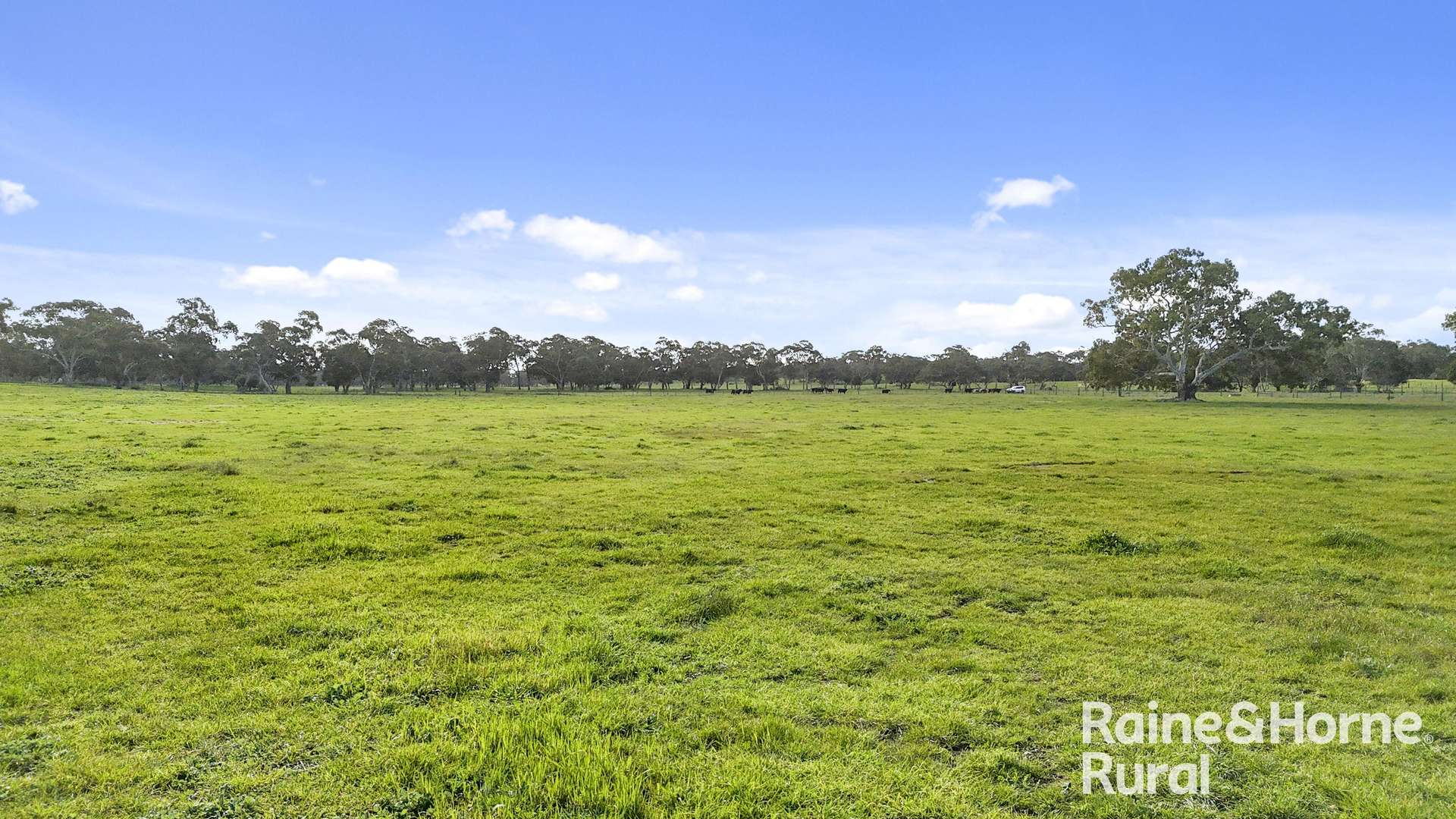 555 Mail Bridge Road, Reedy Creek For Sale by Farmbuy.com - image 29
