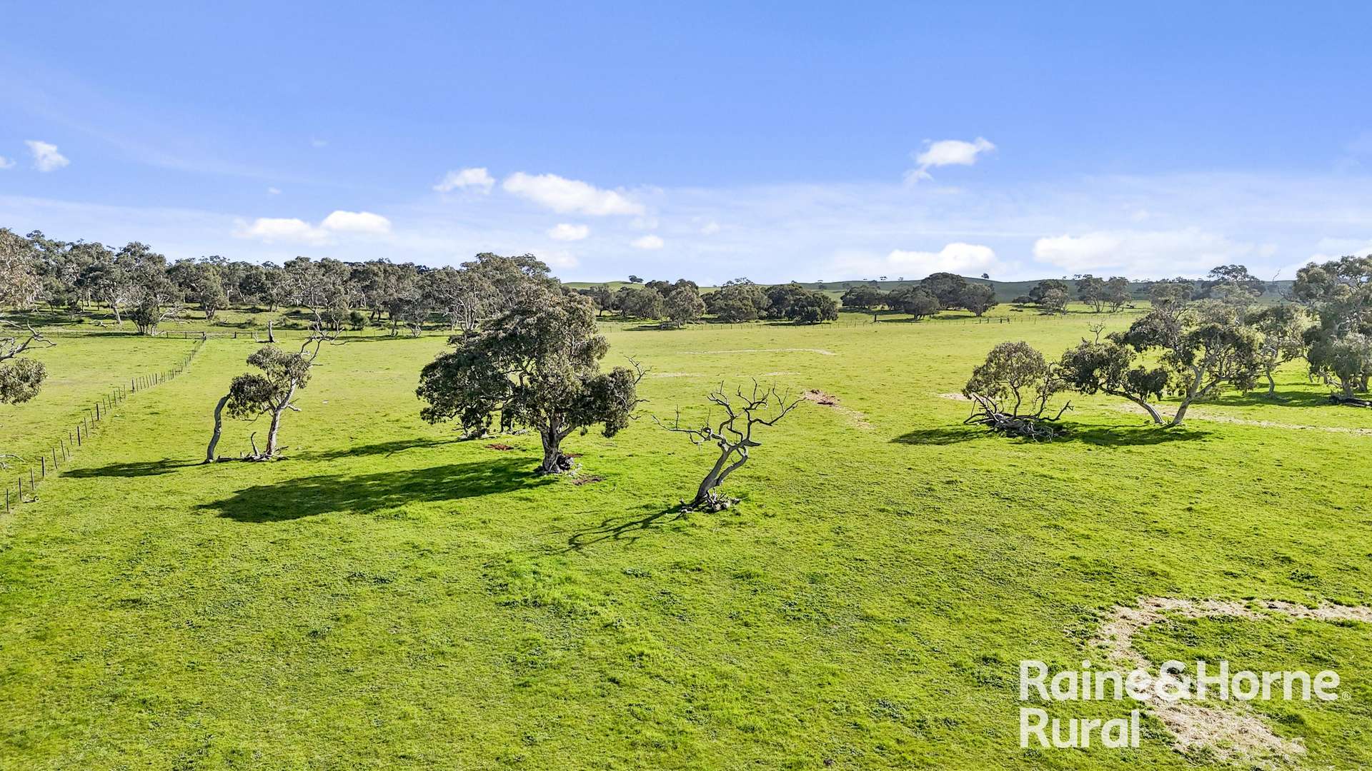 555 Mail Bridge Road, Reedy Creek For Sale by Farmbuy.com - image 23
