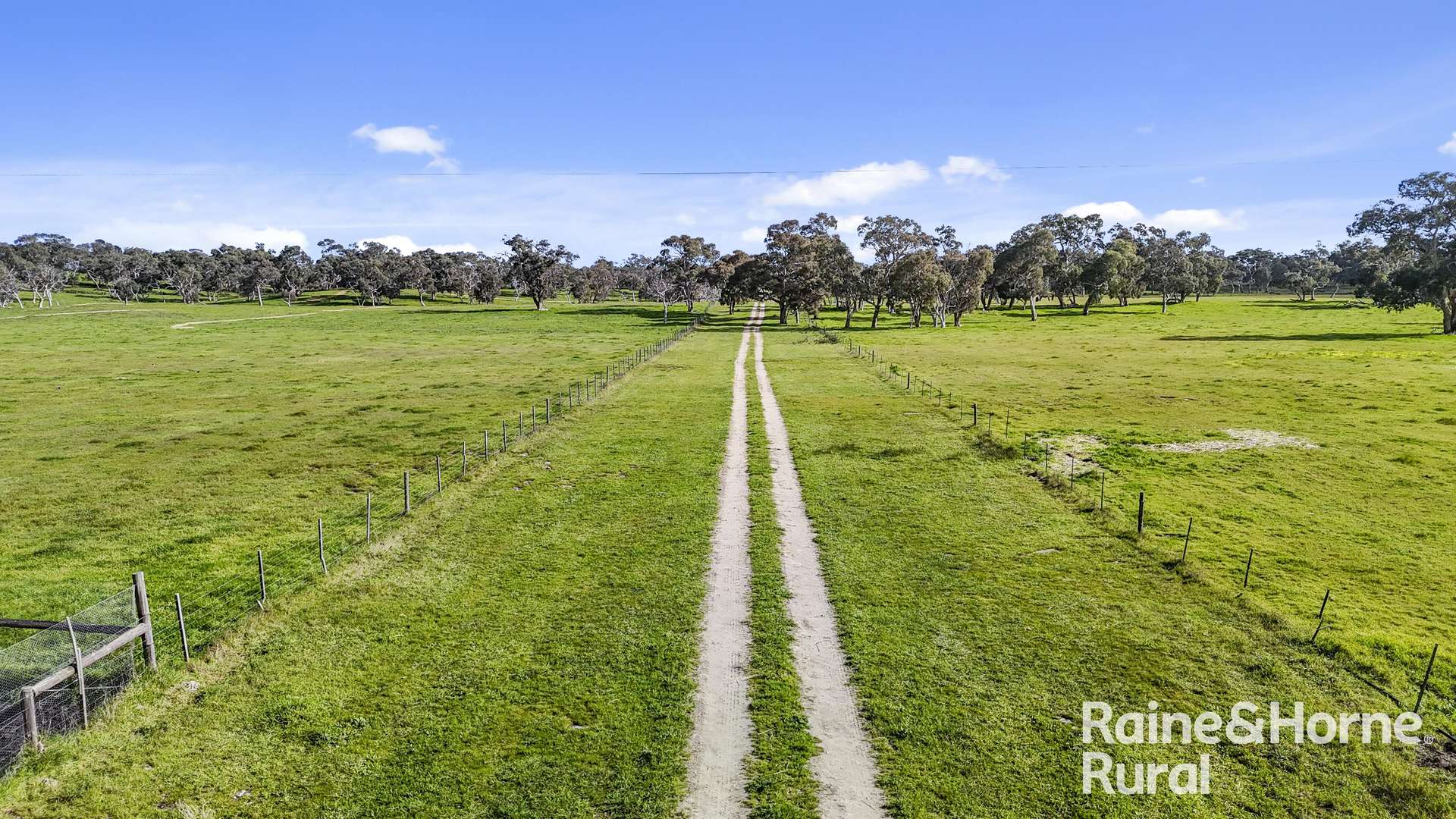 555 Mail Bridge Road, Reedy Creek For Sale by Farmbuy.com - image 4