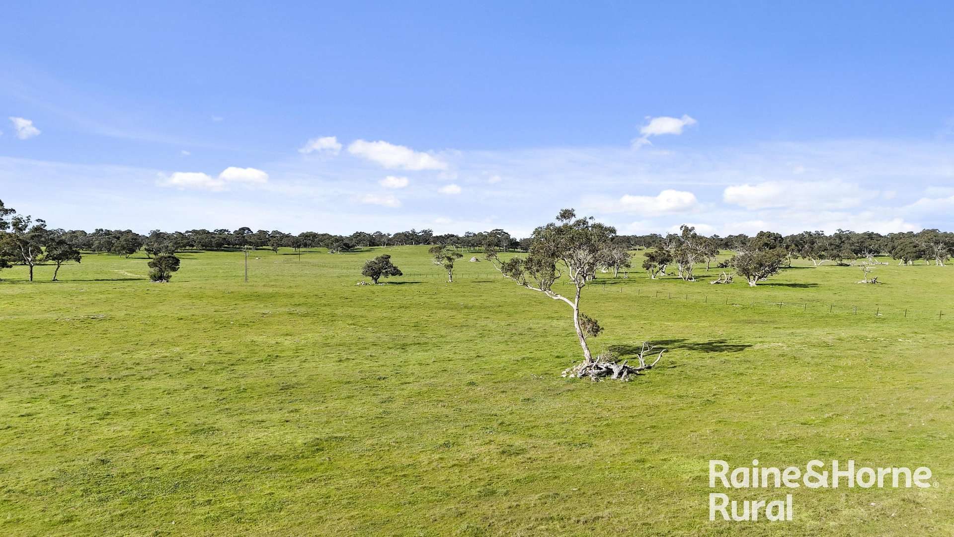 555 Mail Bridge Road, Reedy Creek For Sale by Farmbuy.com - image 21