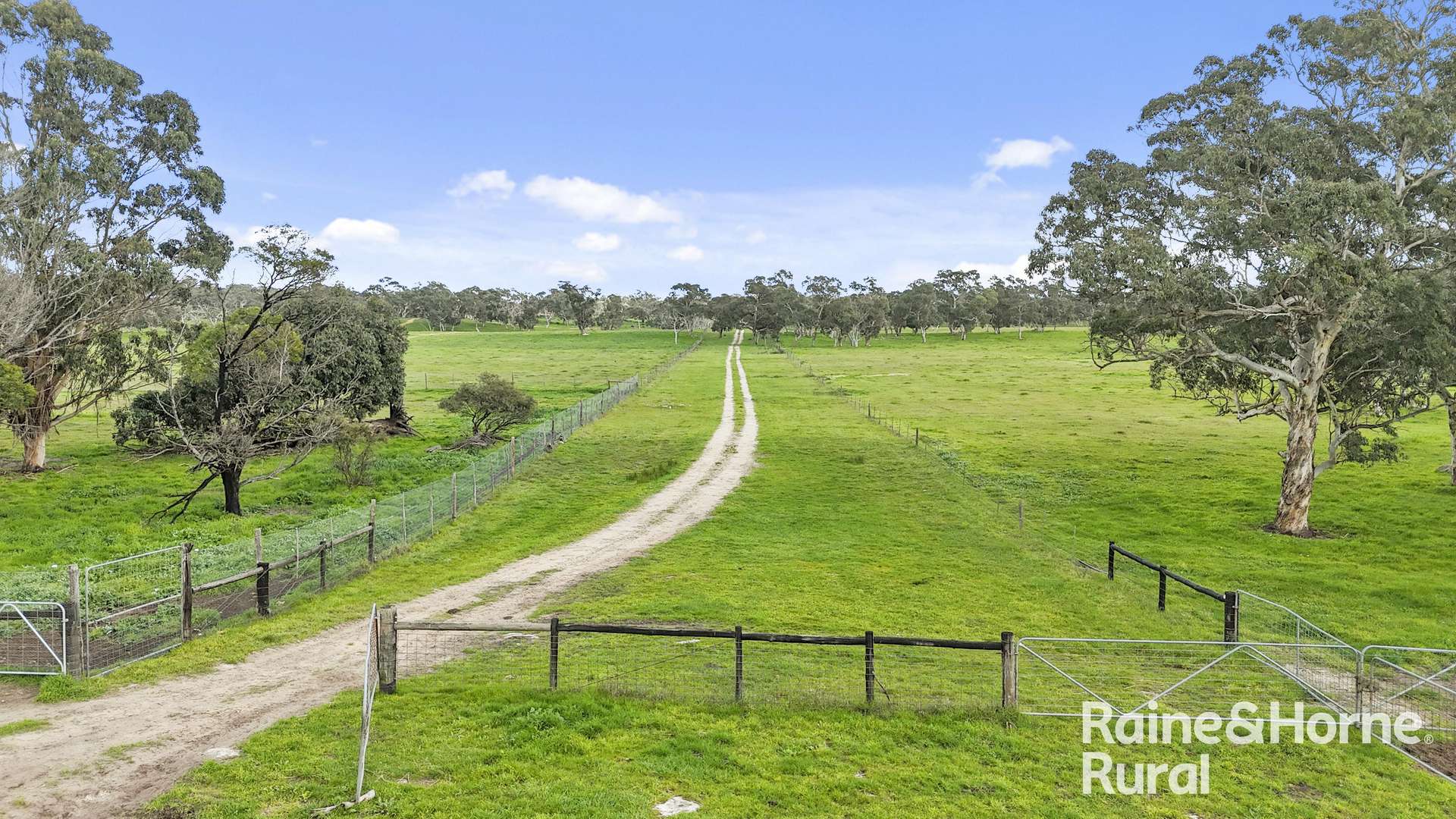 555 Mail Bridge Road, Reedy Creek For Sale by Farmbuy.com - image 18