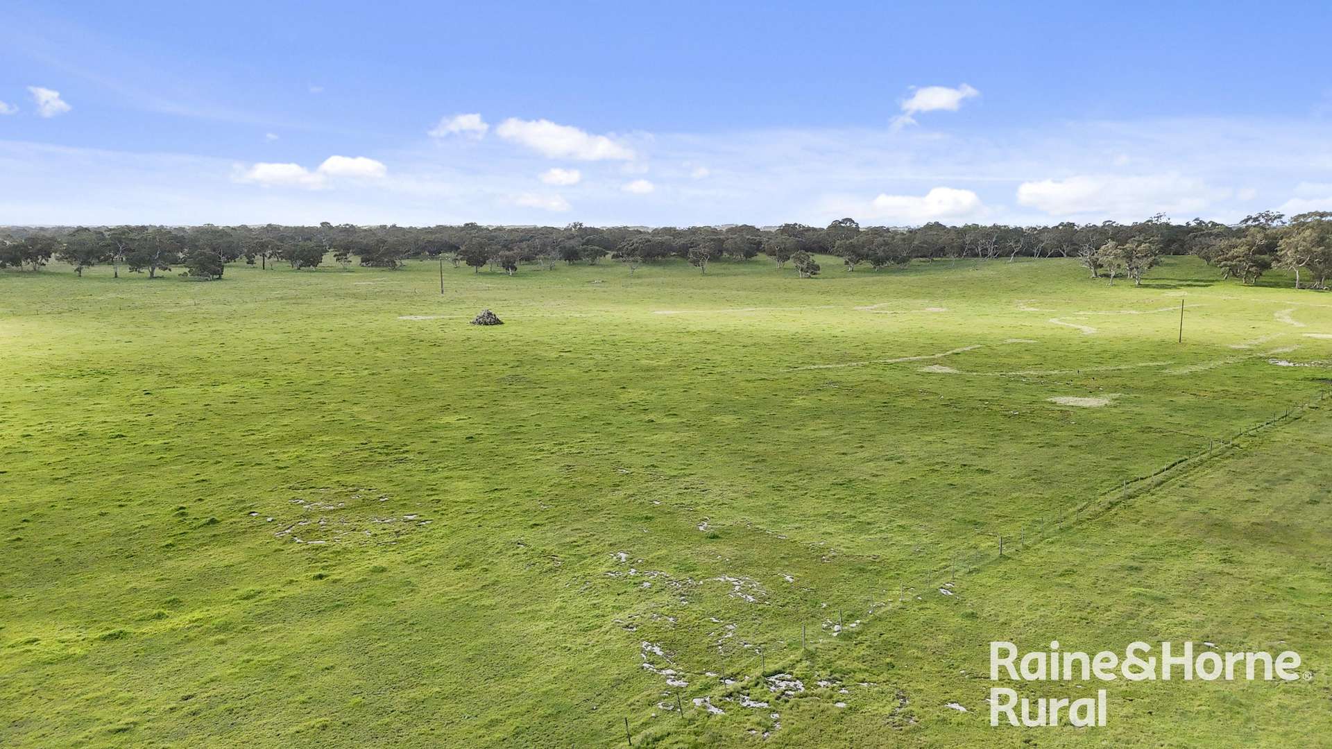 555 Mail Bridge Road, Reedy Creek For Sale by Farmbuy.com - image 32
