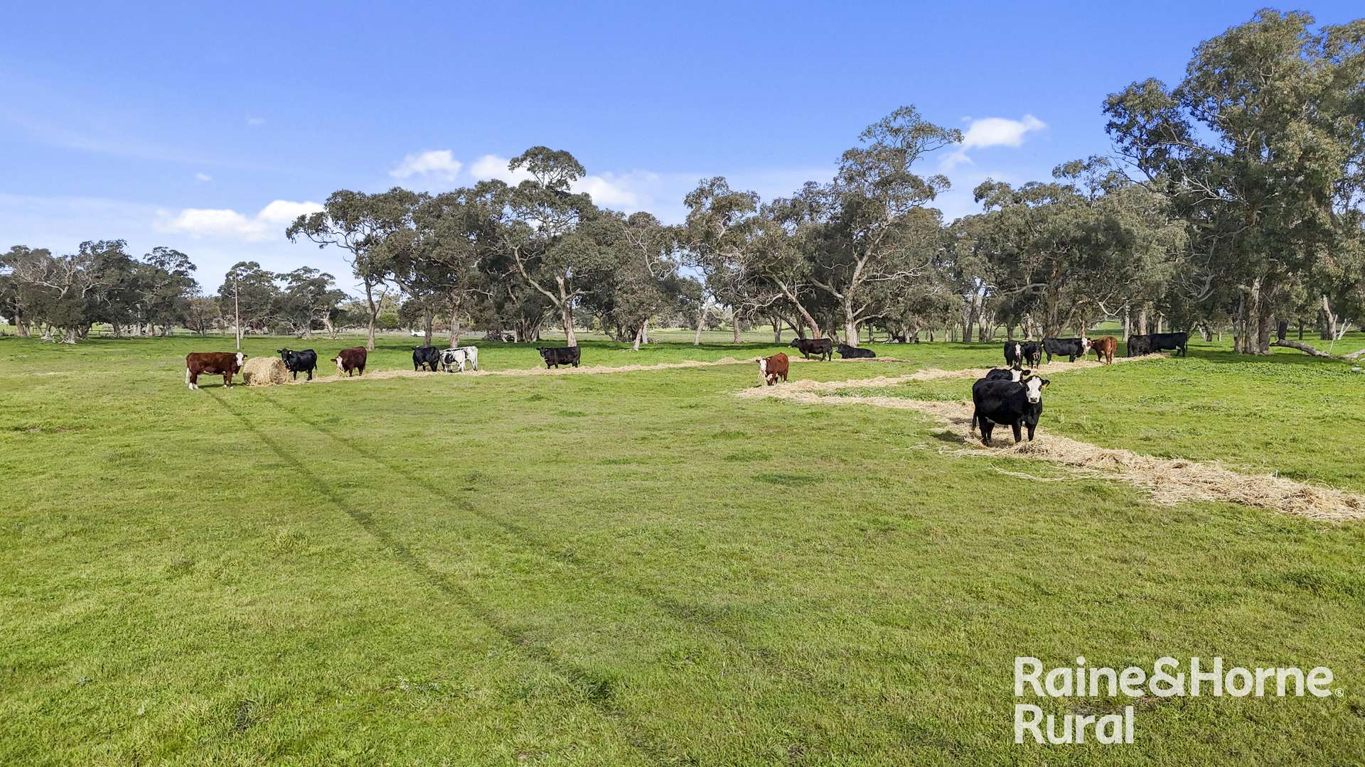 555 Mail Bridge Road, Reedy Creek For Sale by Farmbuy.com - image 25