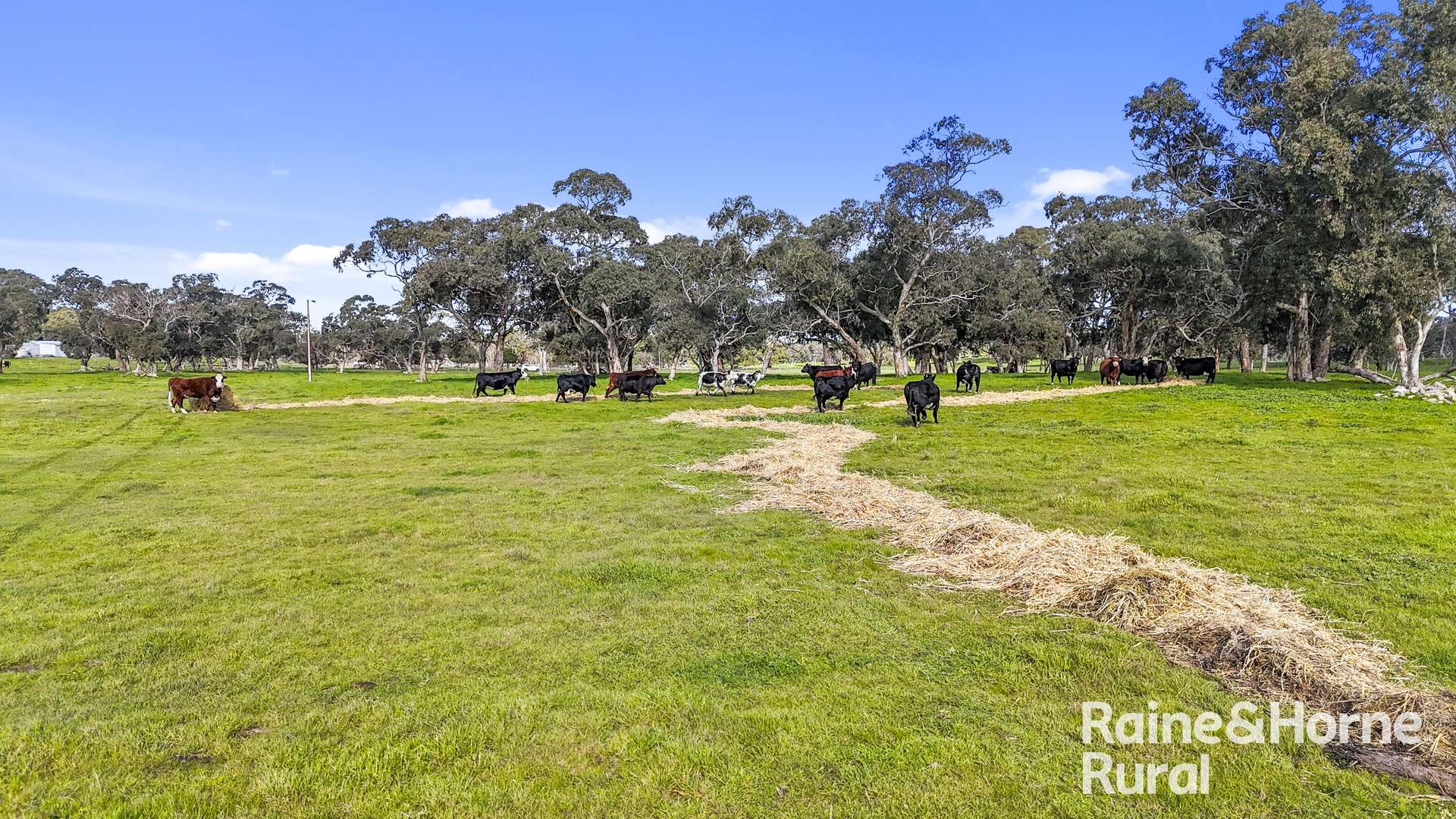 555 Mail Bridge Road, Reedy Creek For Sale by Farmbuy.com - image 22