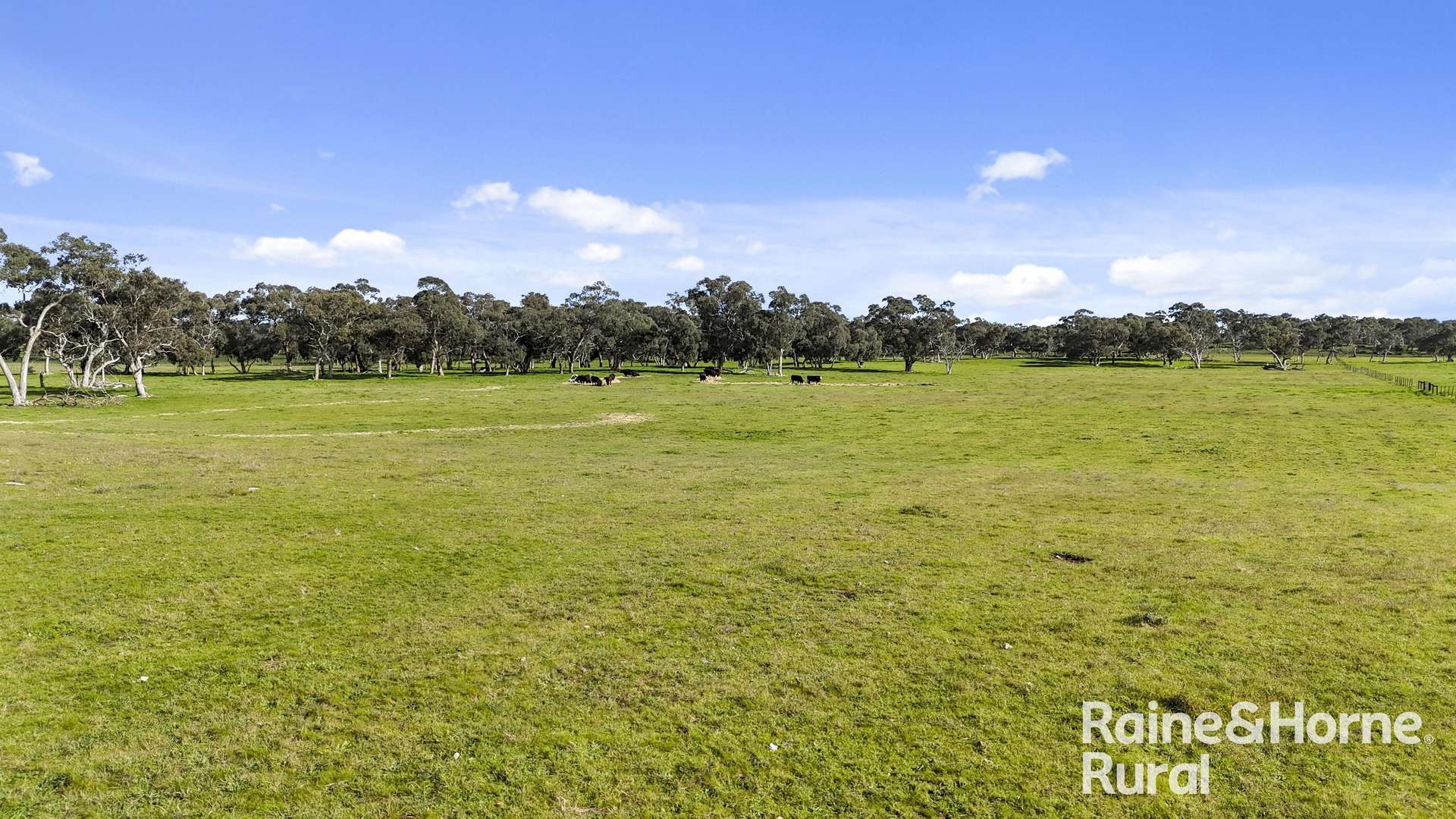 555 Mail Bridge Road, Reedy Creek For Sale by Farmbuy.com - image 27