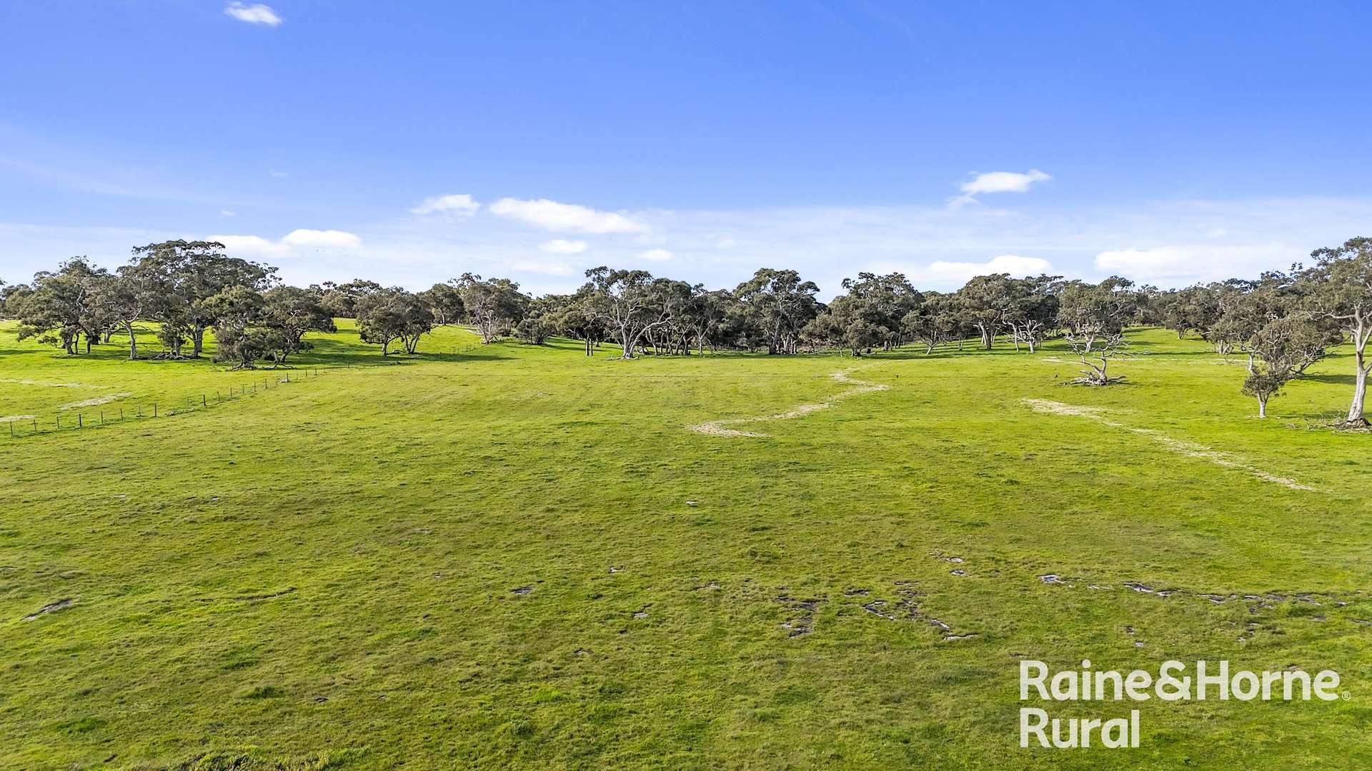 555 Mail Bridge Road, Reedy Creek For Sale by Farmbuy.com - image 28