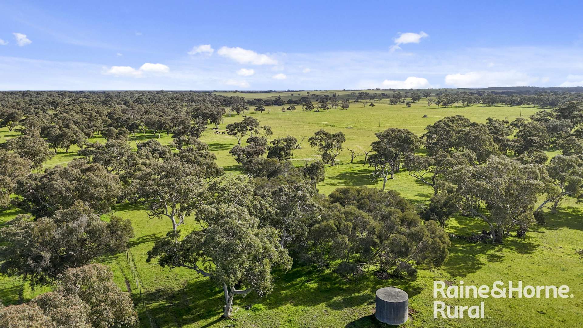 555 Mail Bridge Road, Reedy Creek For Sale by Farmbuy.com - image 26
