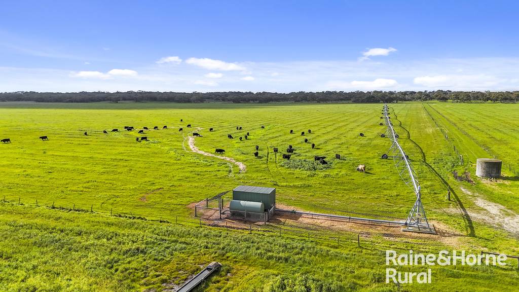 556 Mail Bridge Road, Reedy Creek SA 5275