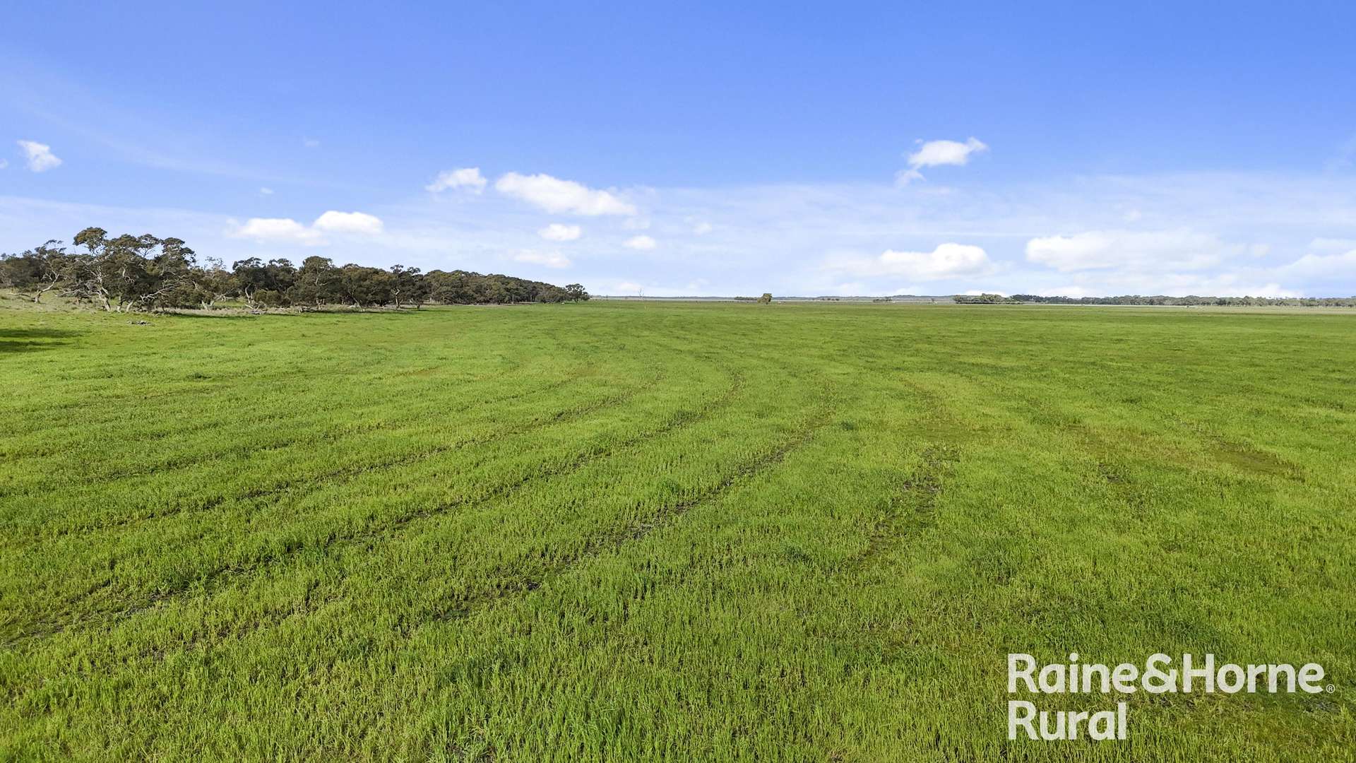 556 Mail Bridge Road, Reedy Creek For Sale by Farmbuy.com - image 12