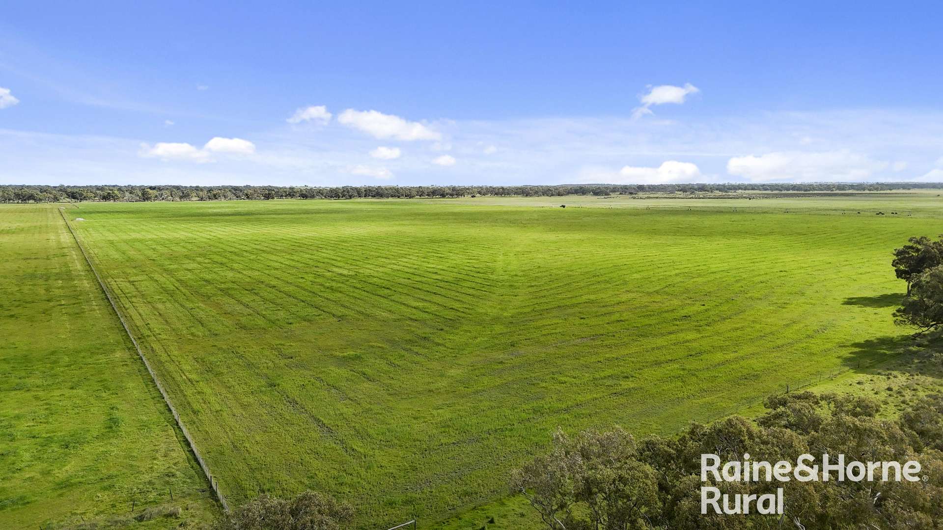 556 Mail Bridge Road, Reedy Creek For Sale by Farmbuy.com - image 14
